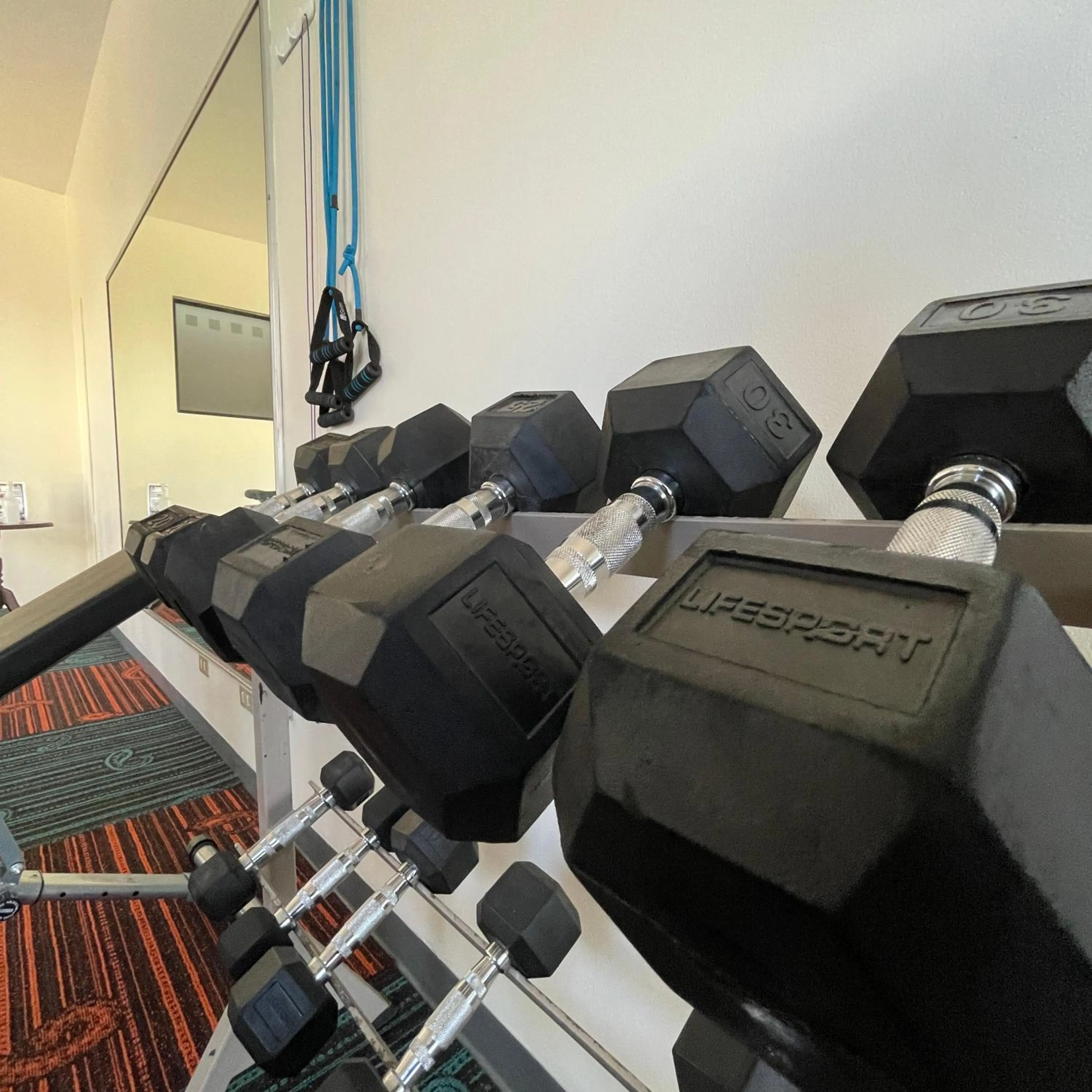Fitness centre/facilities in Parque del Lago Boutique Hotel