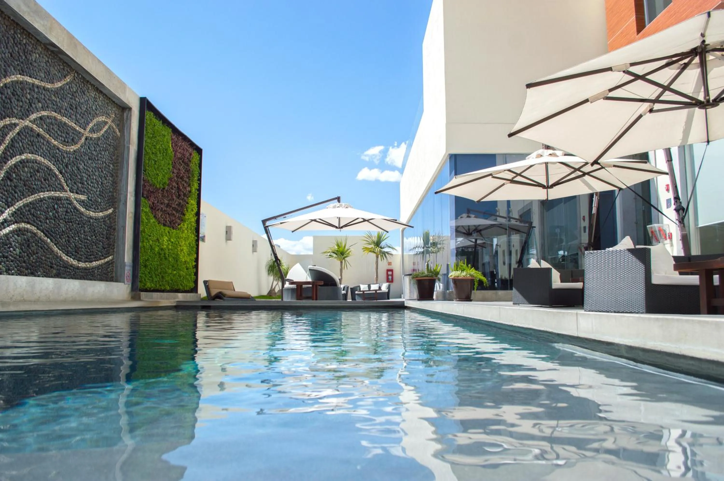 Swimming pool in HS HOTSSON Hotel Queretaro