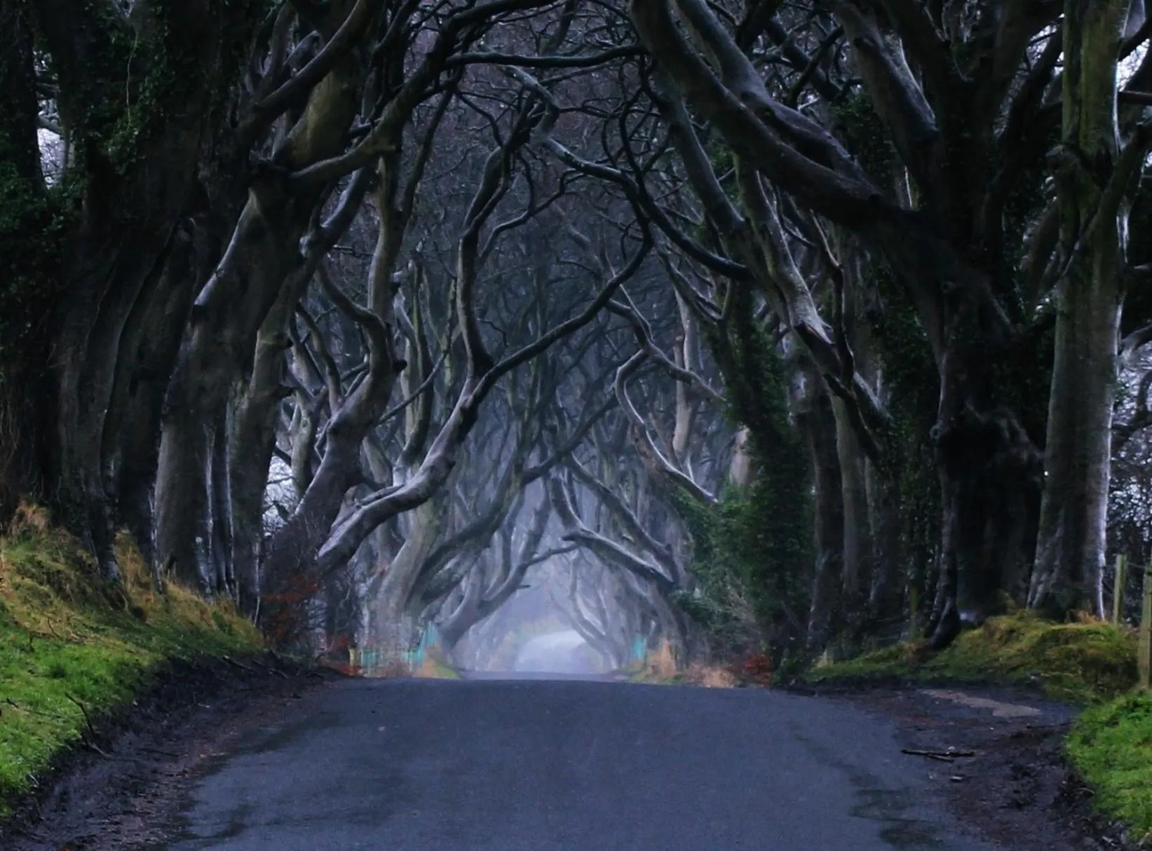 View (from property/room) in Glen Haven Bed and Breakfast