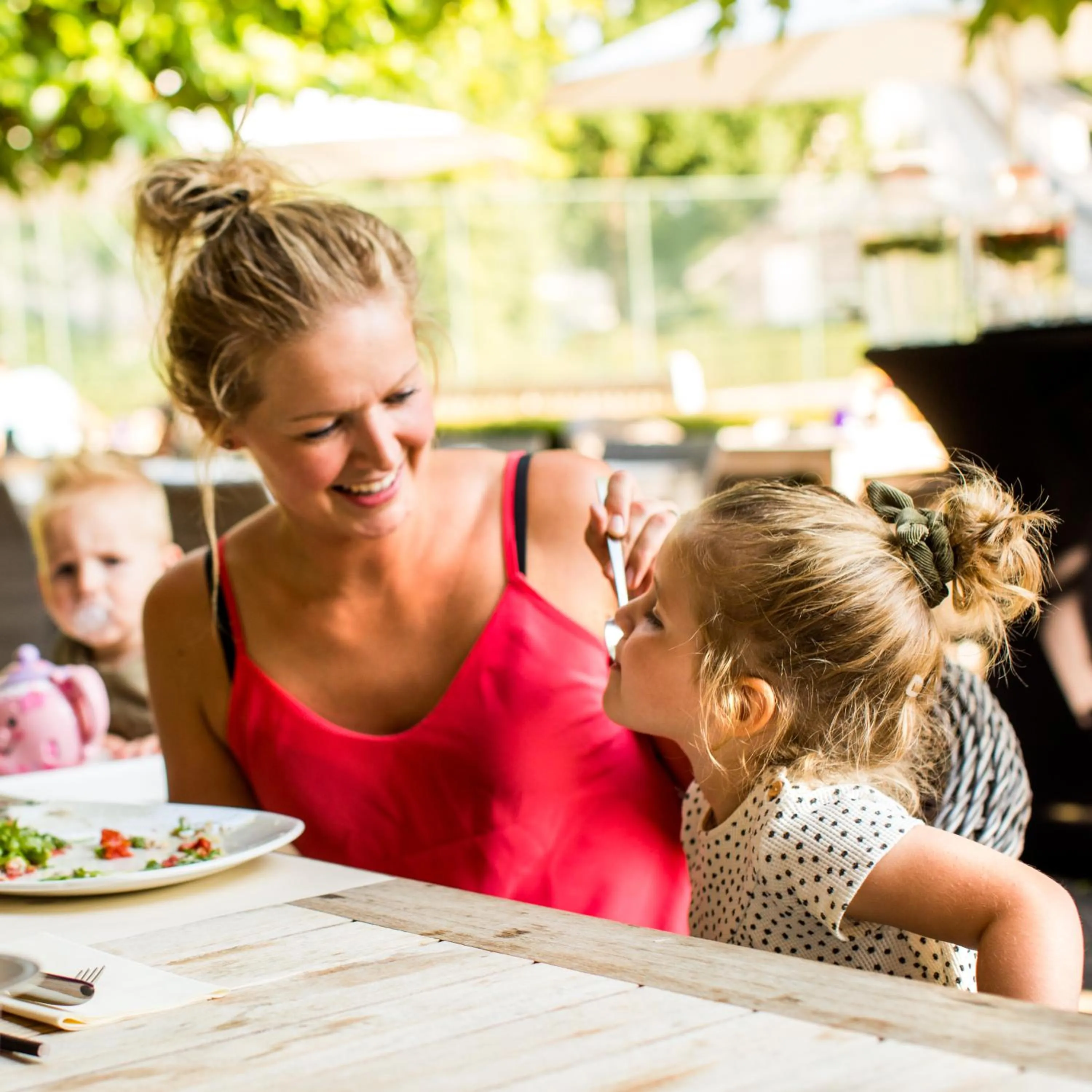 Hof van Salland Hellendoorn