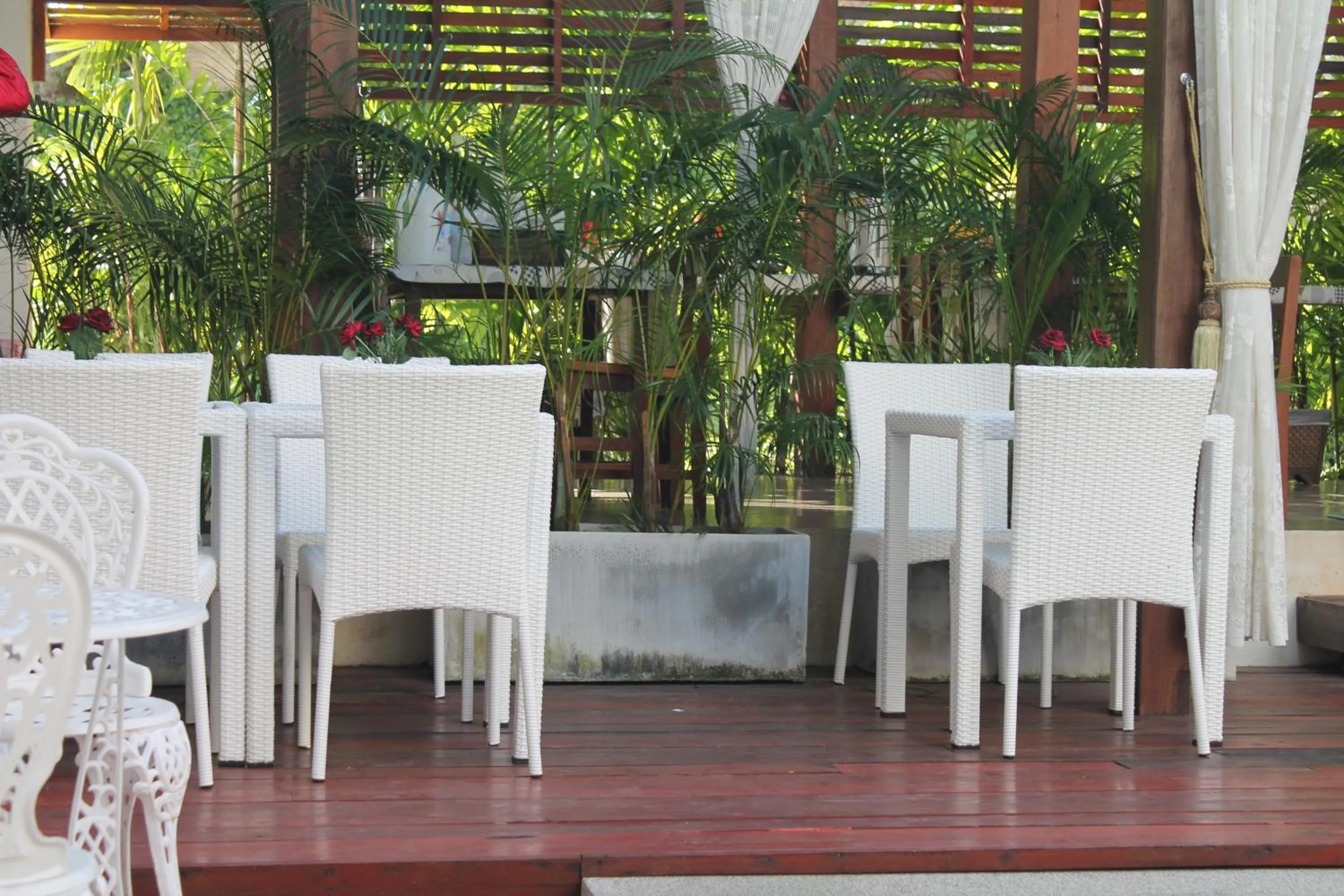 Restaurant/places to eat in Huen Chan Thip