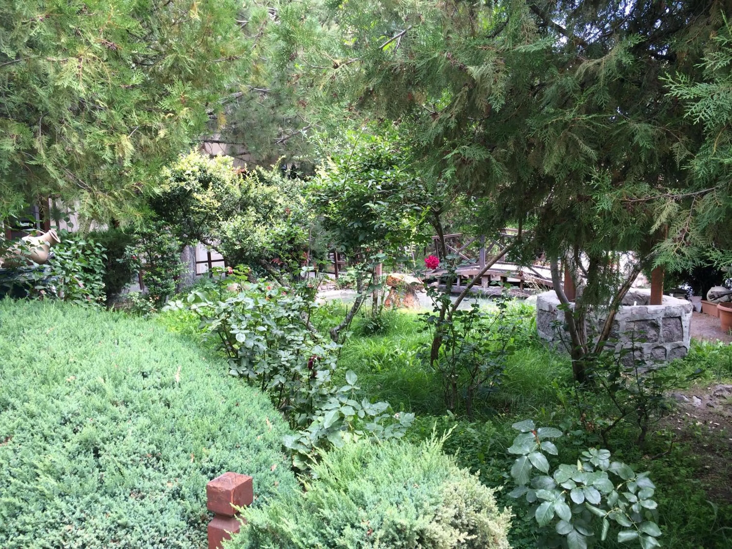 Garden in Burcu Kaya Hotel