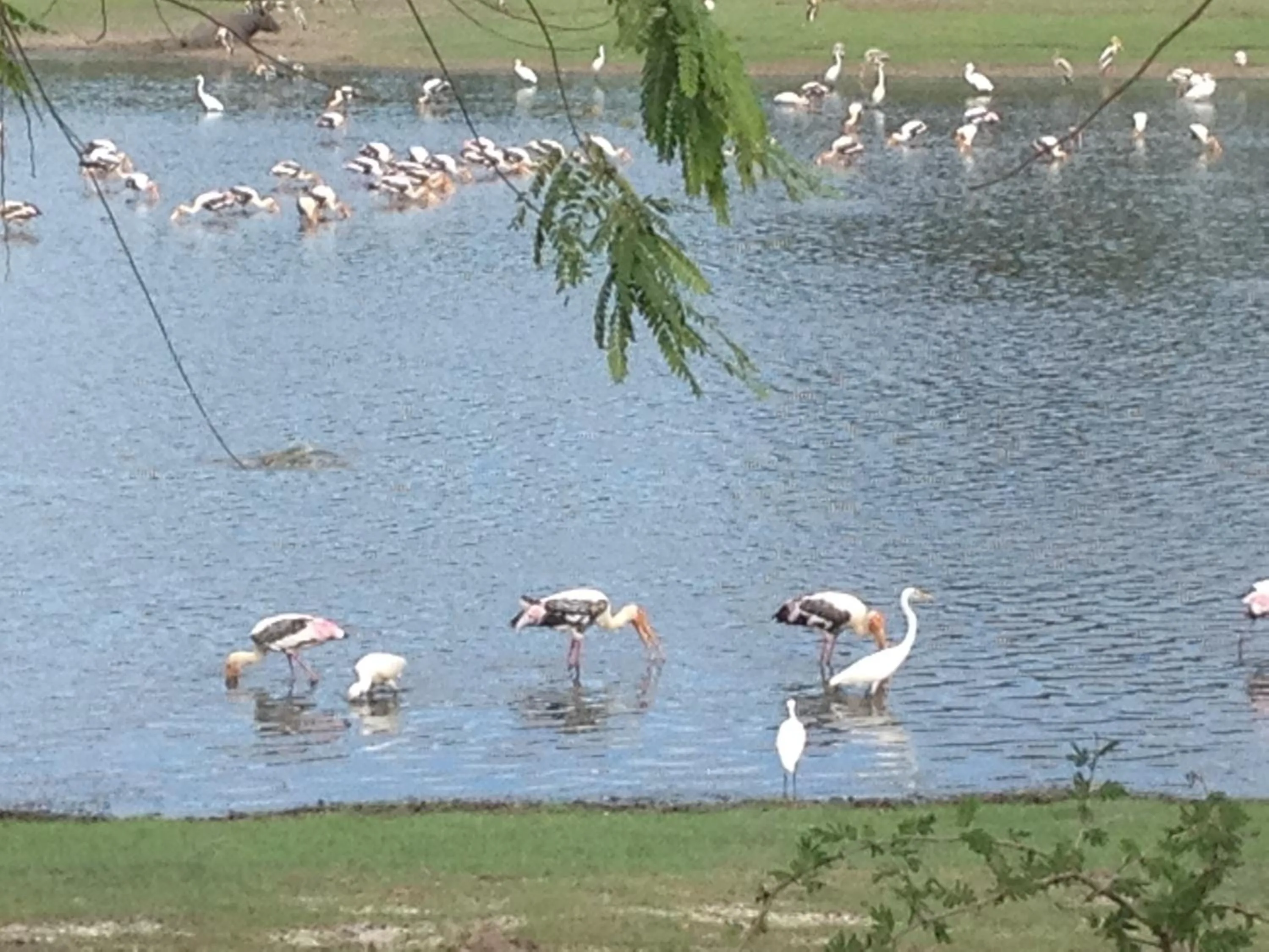 Day in SURF & SAND Hotel Arugambay