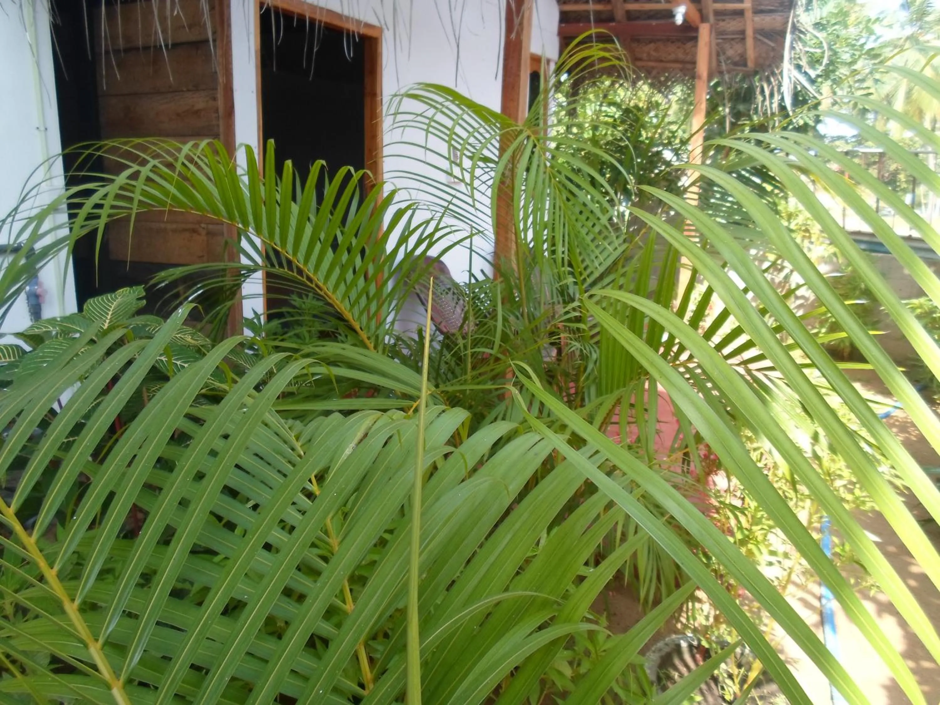 Facade/entrance in SURF & SAND Hotel Arugambay