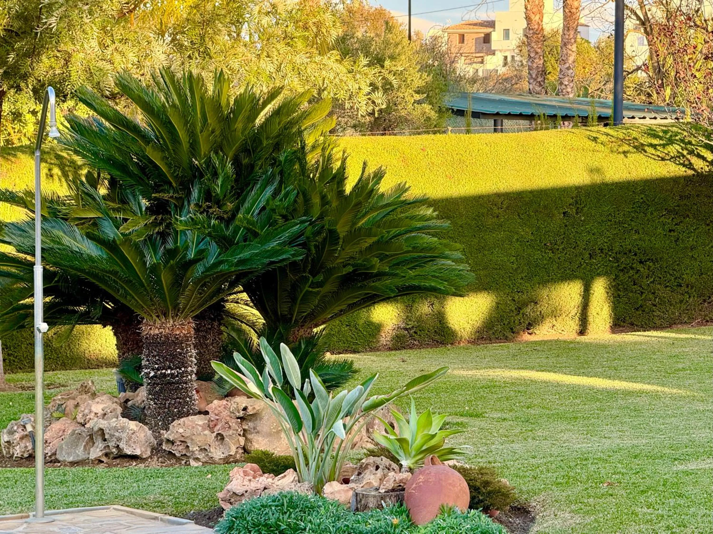 Garden in Villa La Cuesta
