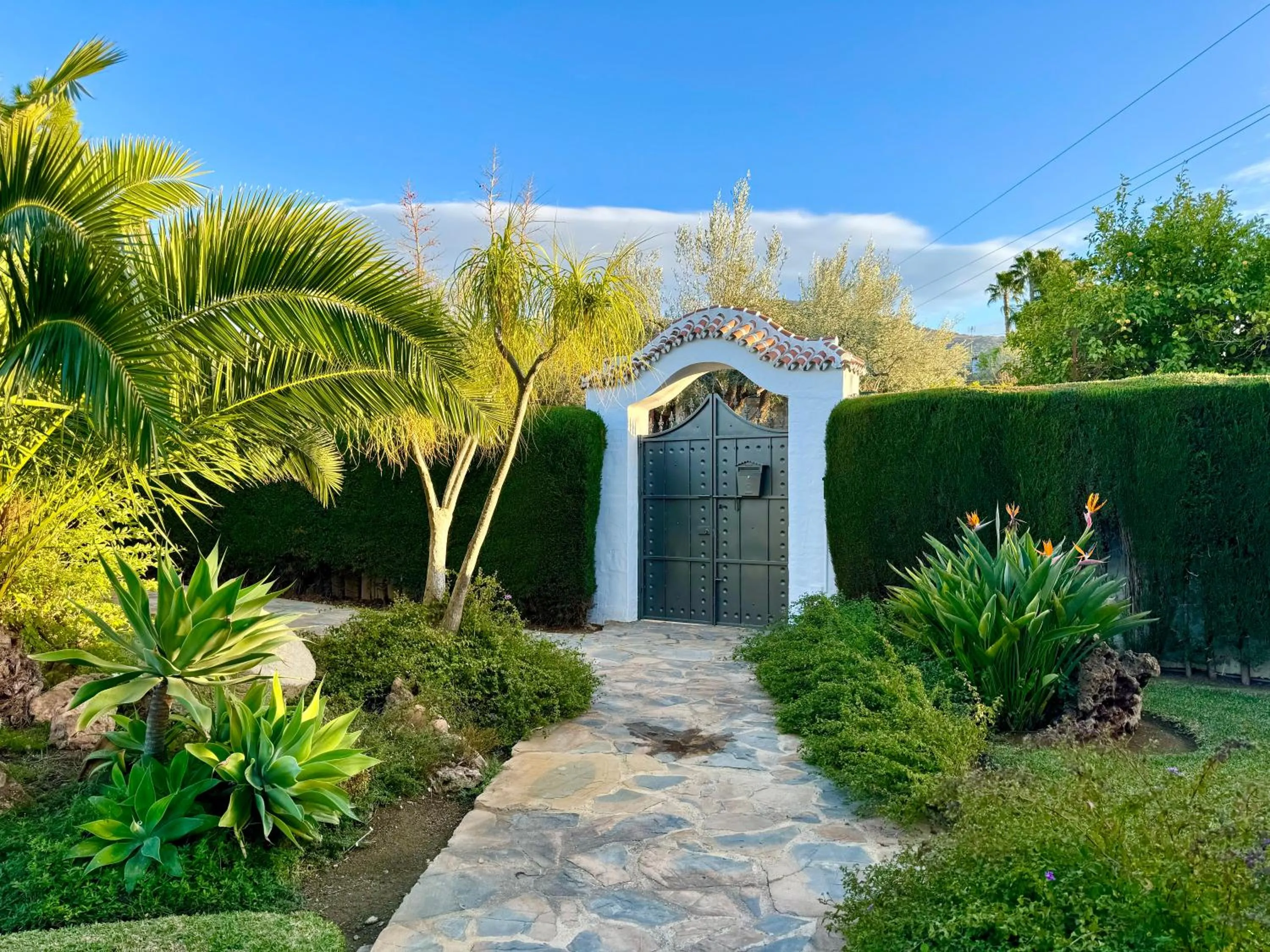 Garden in Villa La Cuesta
