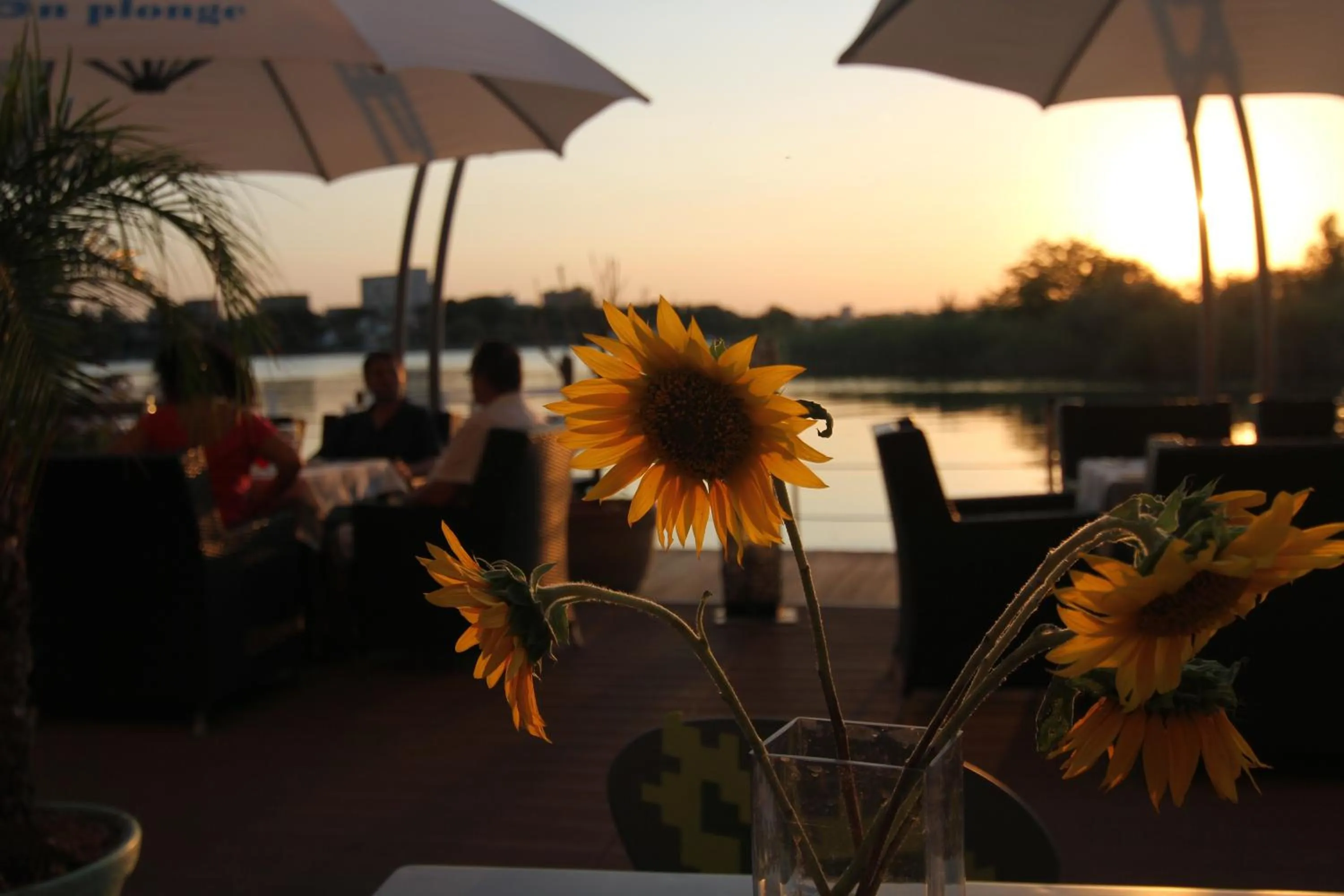 Patio in Hotel On Plonge Junior