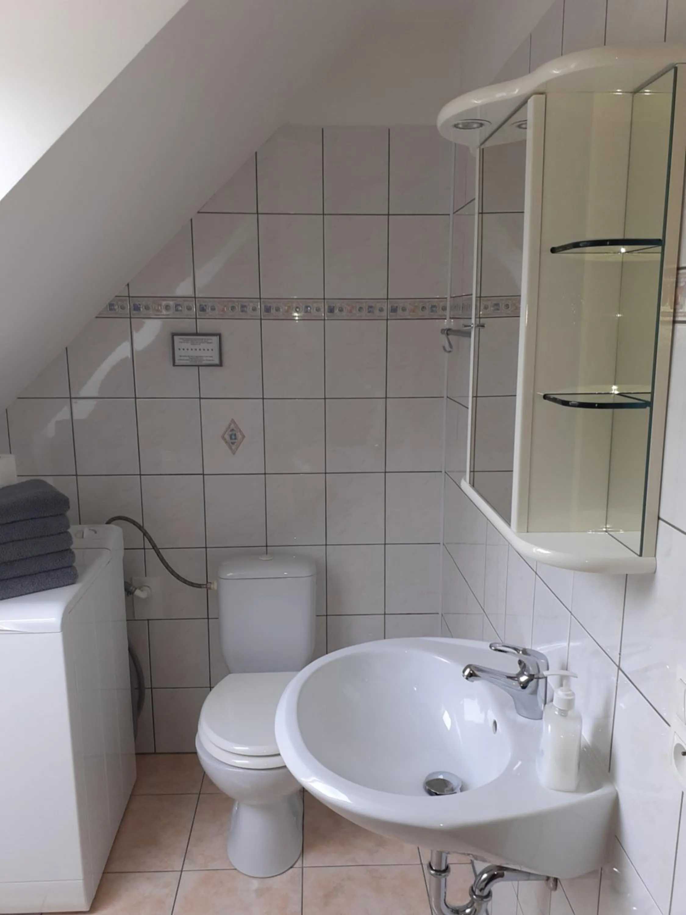 Bathroom in Tisá 488