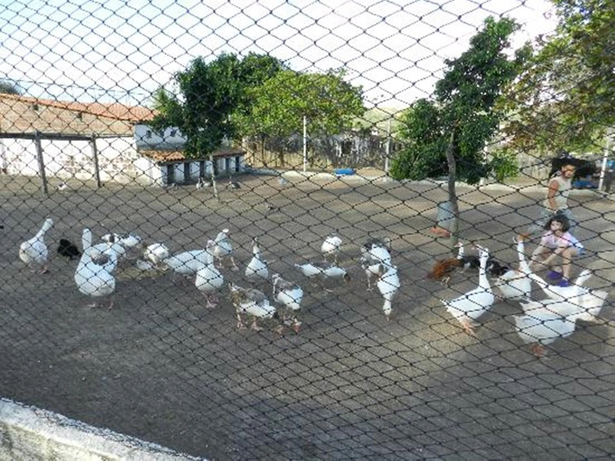 Flat no Villa Hípica - Gravatá