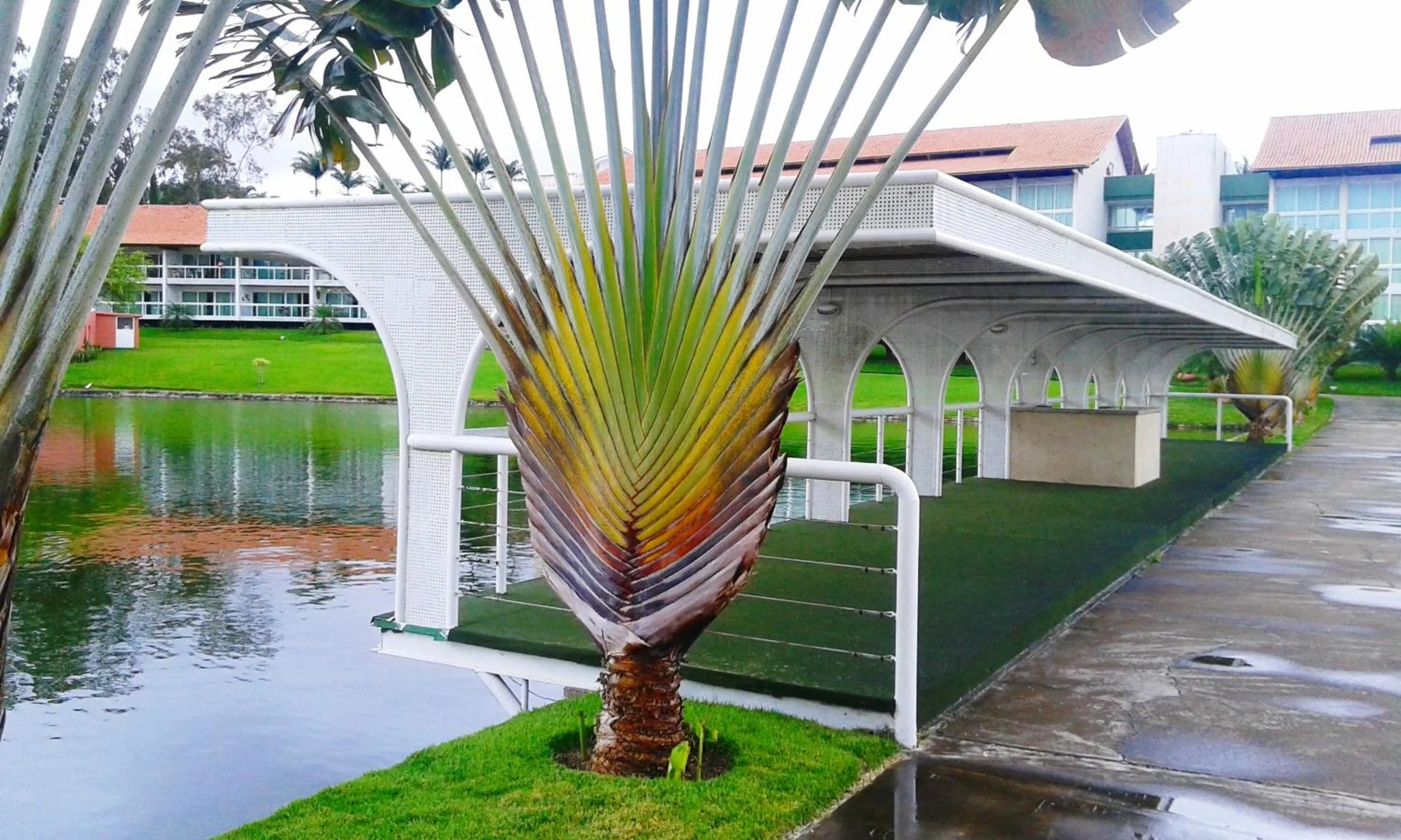 Flat no Villa Hípica - Gravatá