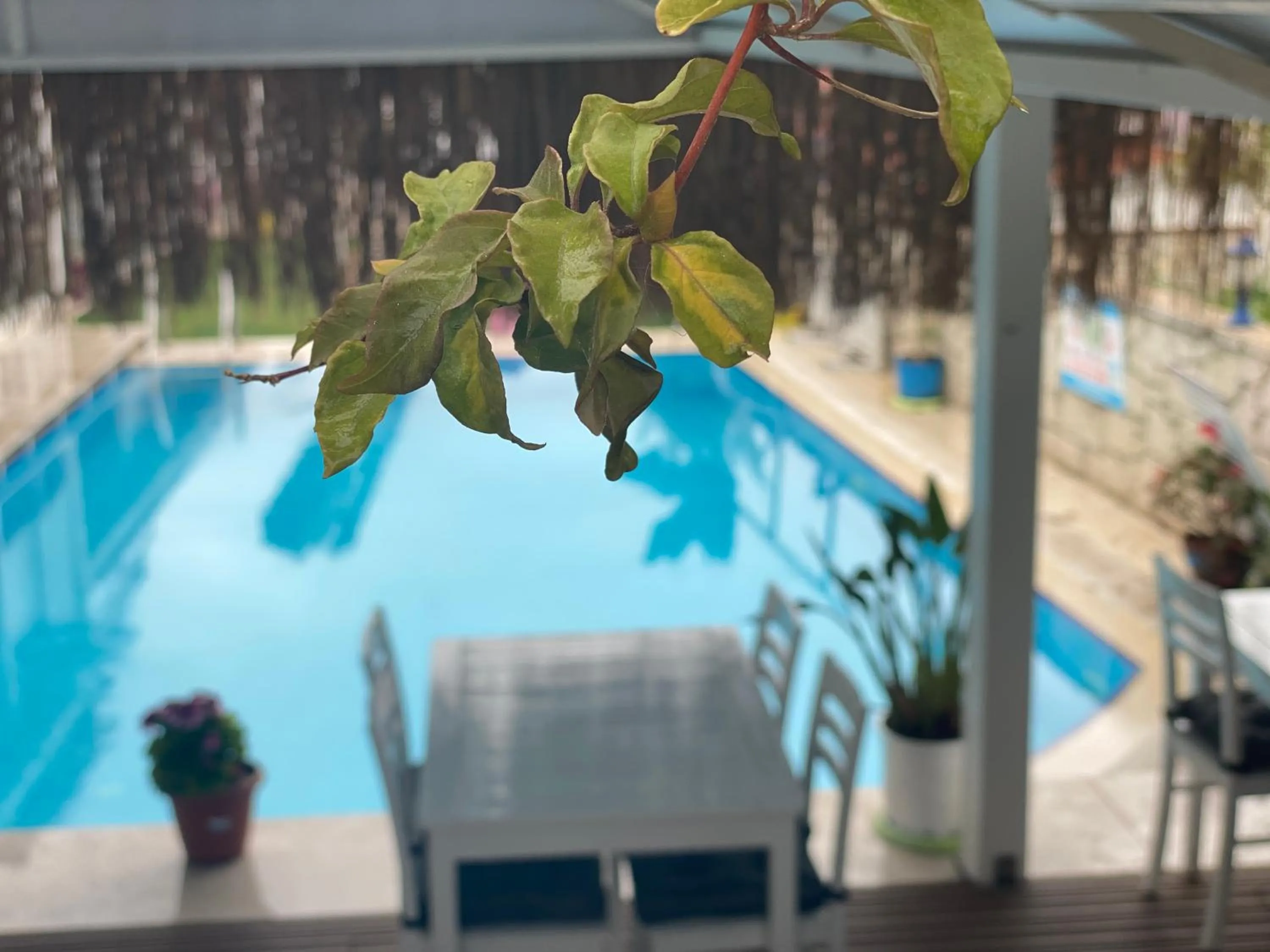 Swimming pool in Alacati Eldoris Butik Hotel