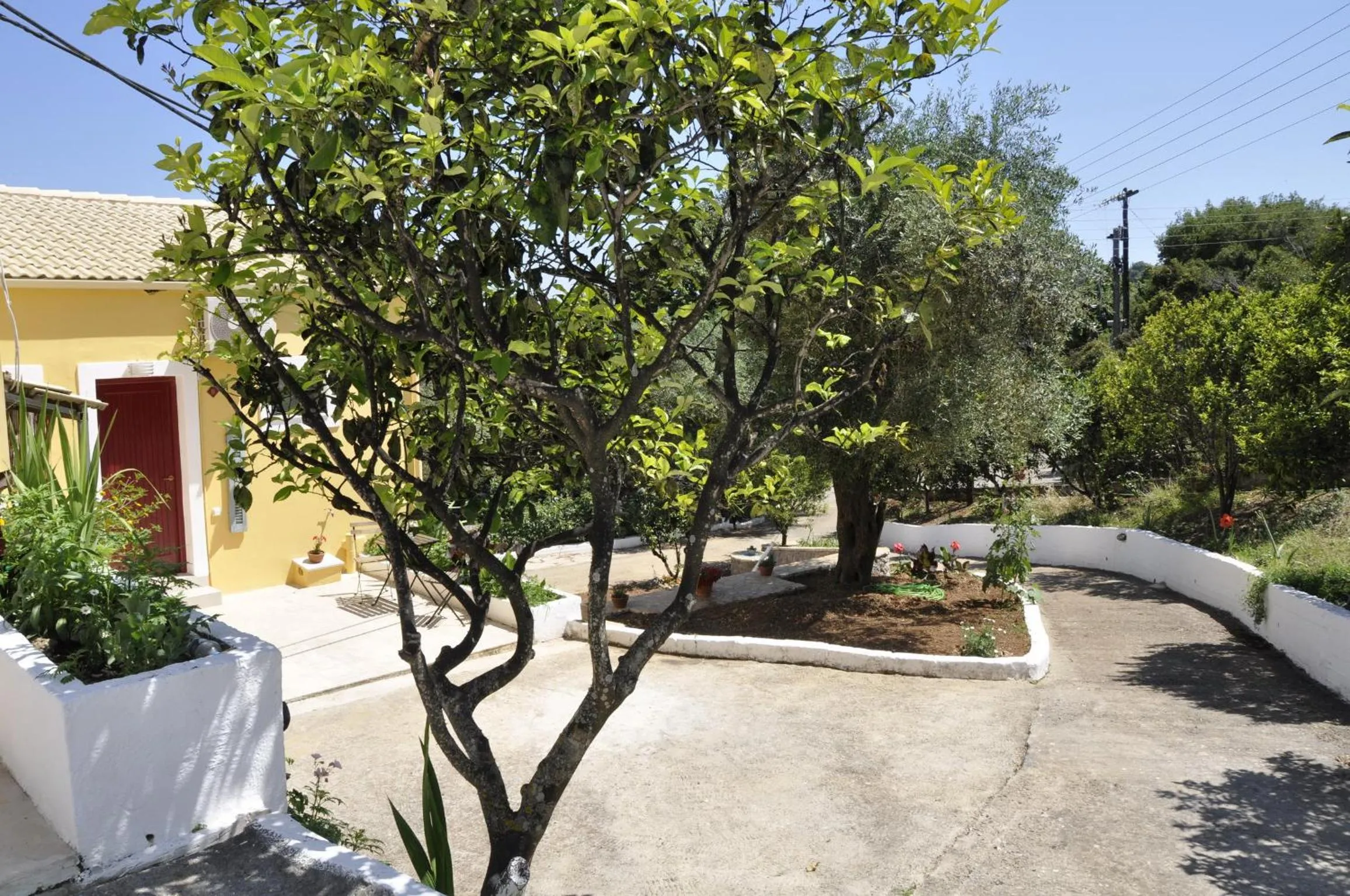 Garden in Braziliana Apartments Corfu