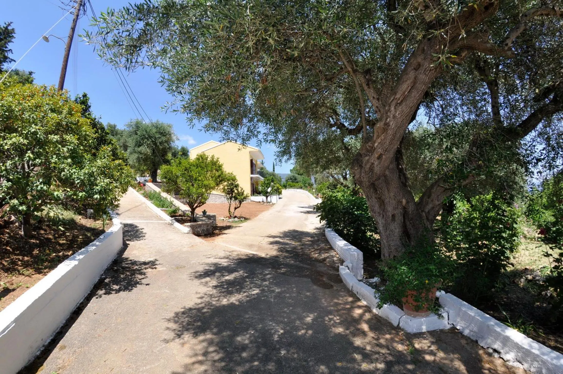 Garden in Braziliana Apartments Corfu