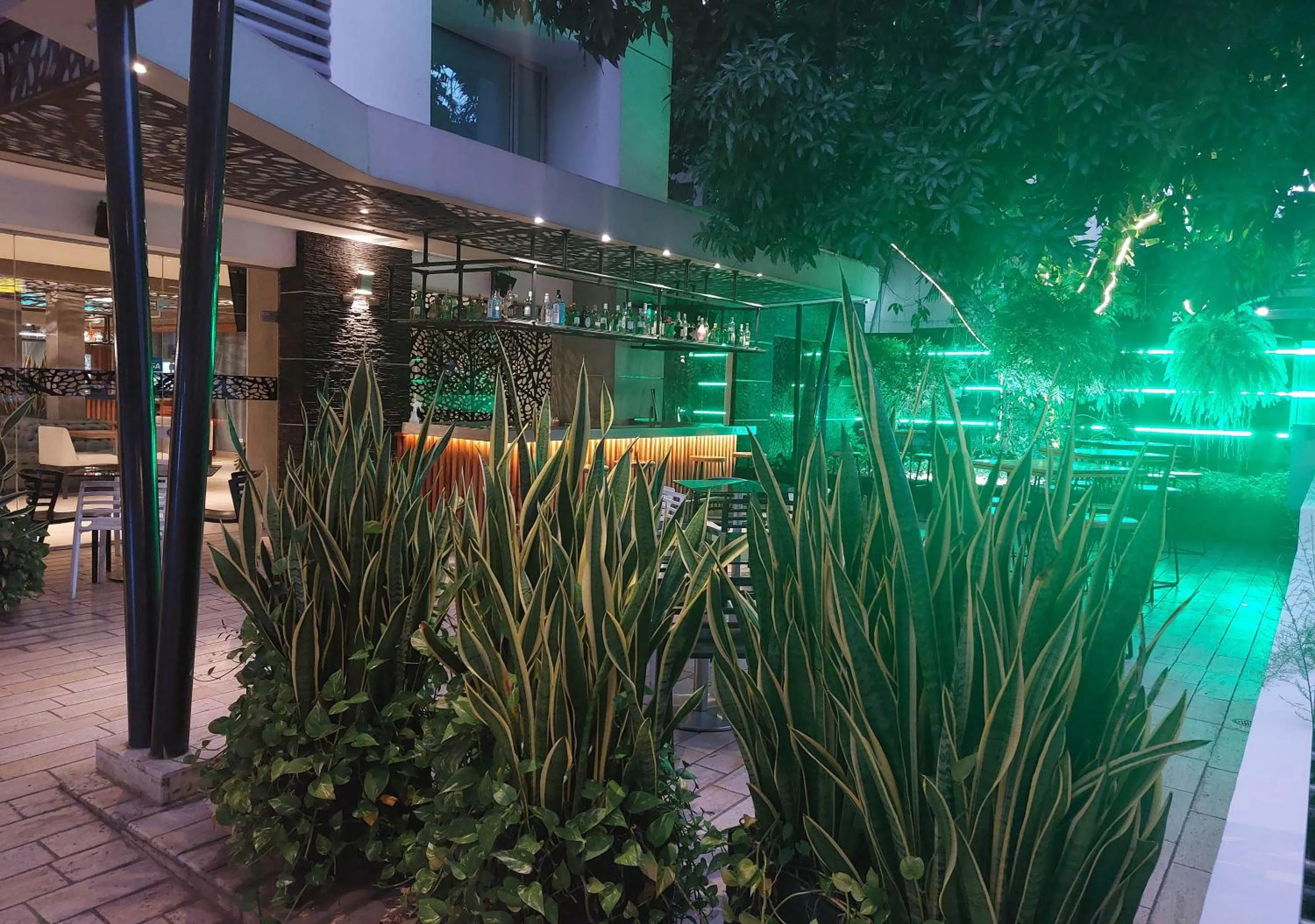 Night in Washington Plaza