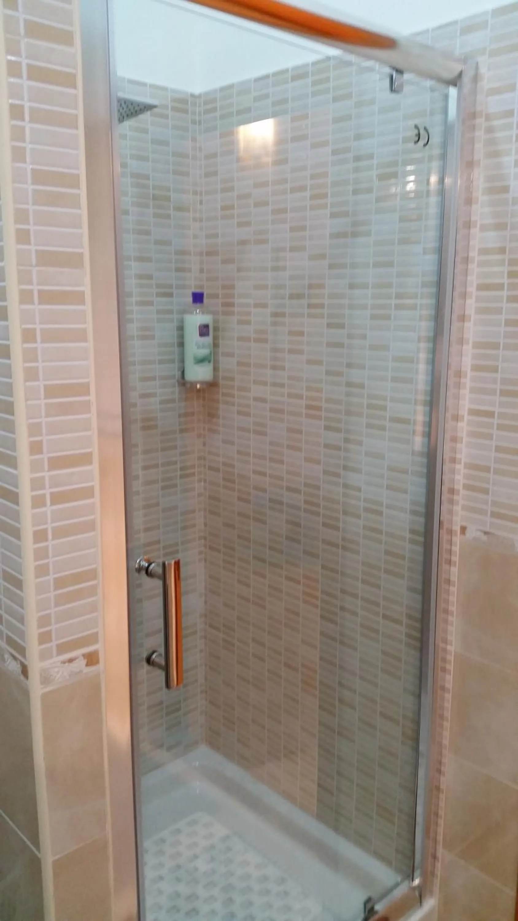 Shower in Hotel Gorizia