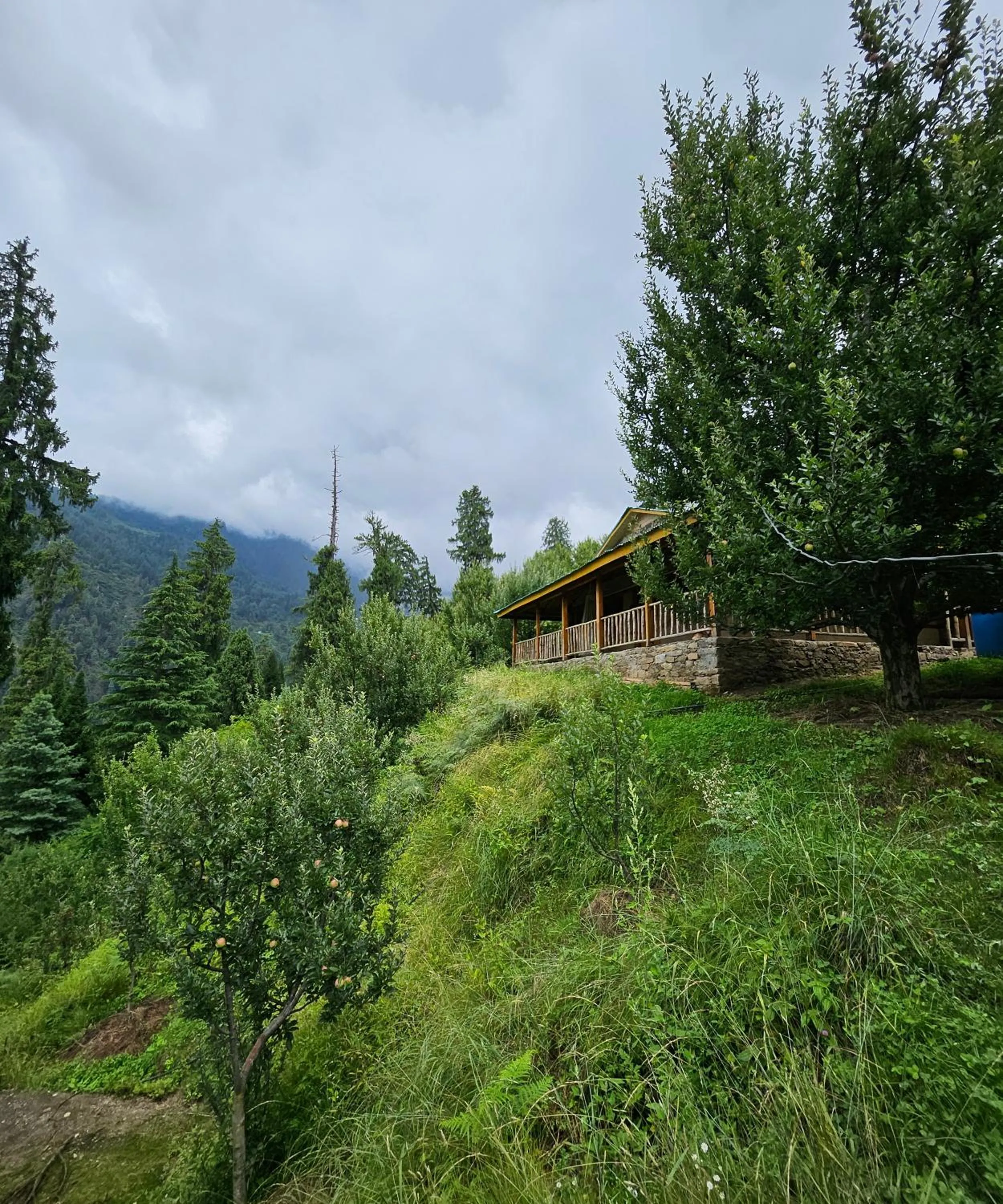 Spring in Upepo - The Sky Village