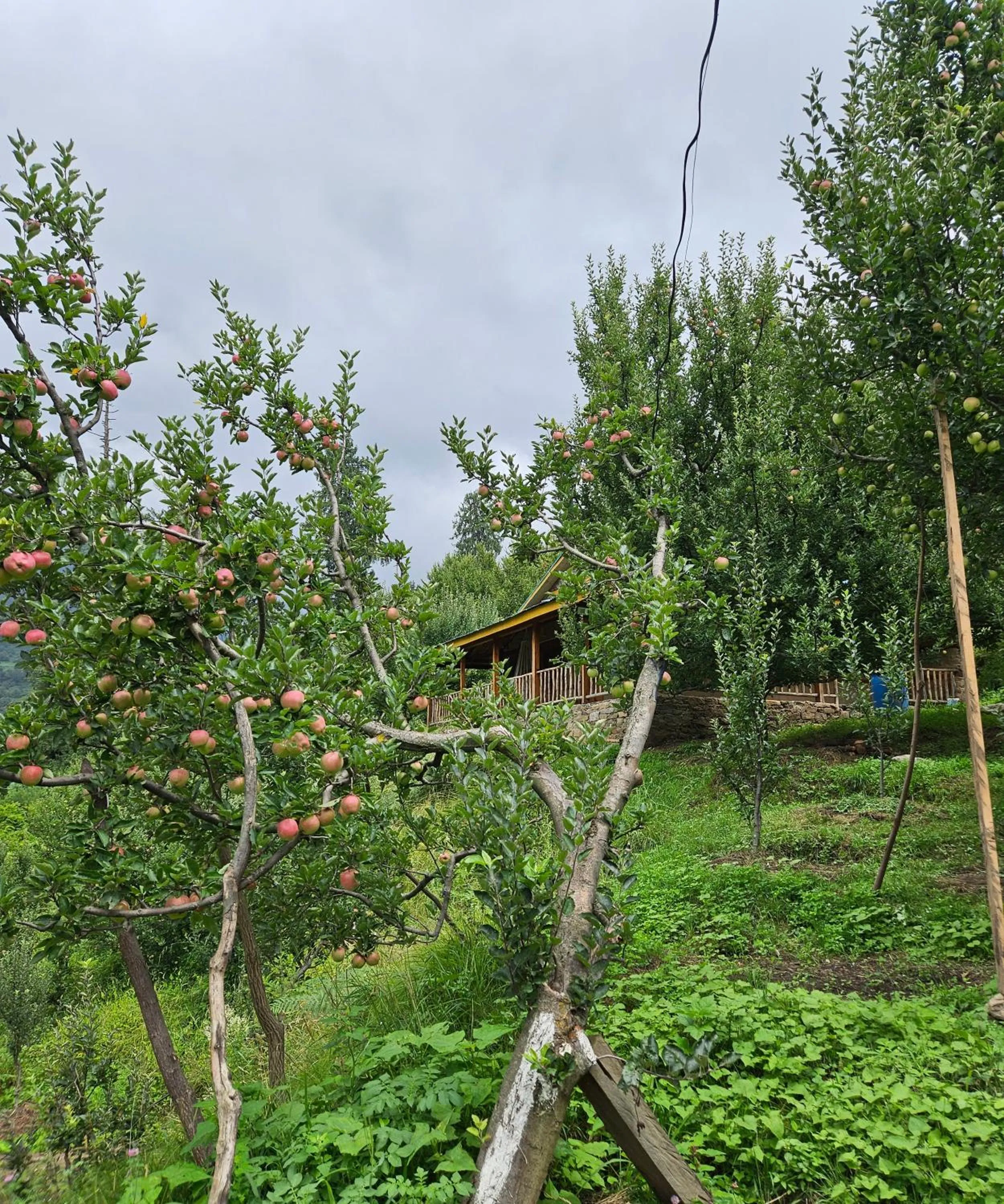 Spring in Upepo - The Sky Village