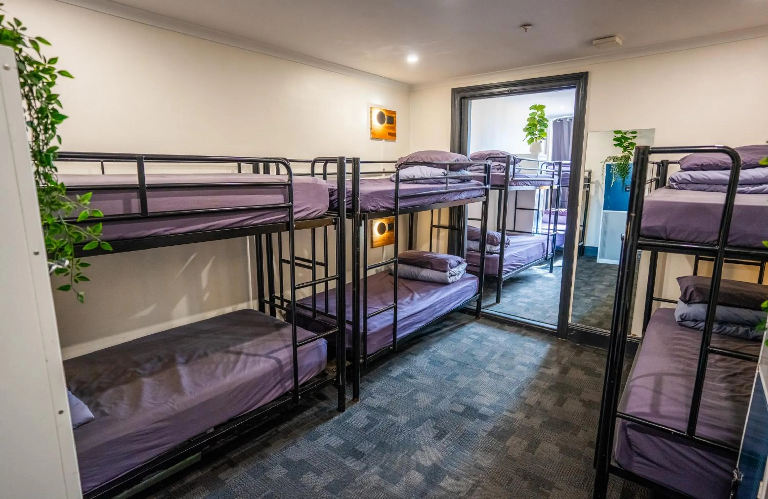 Bed in Mad Monkey Kings Cross