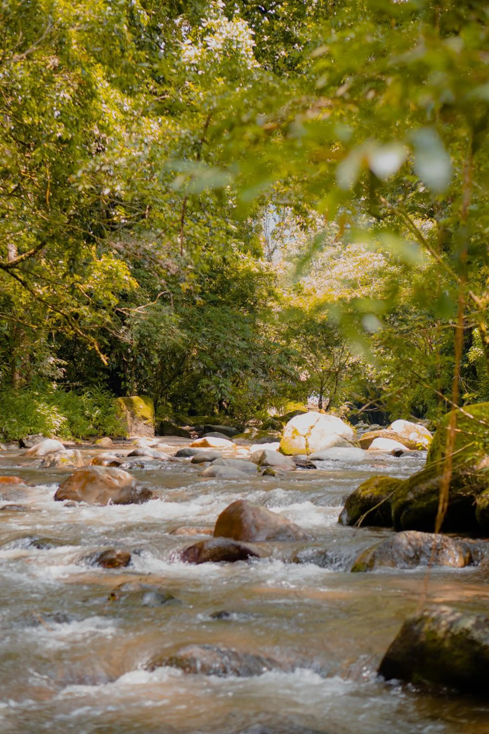 River view in Hotel Casa de Hadas