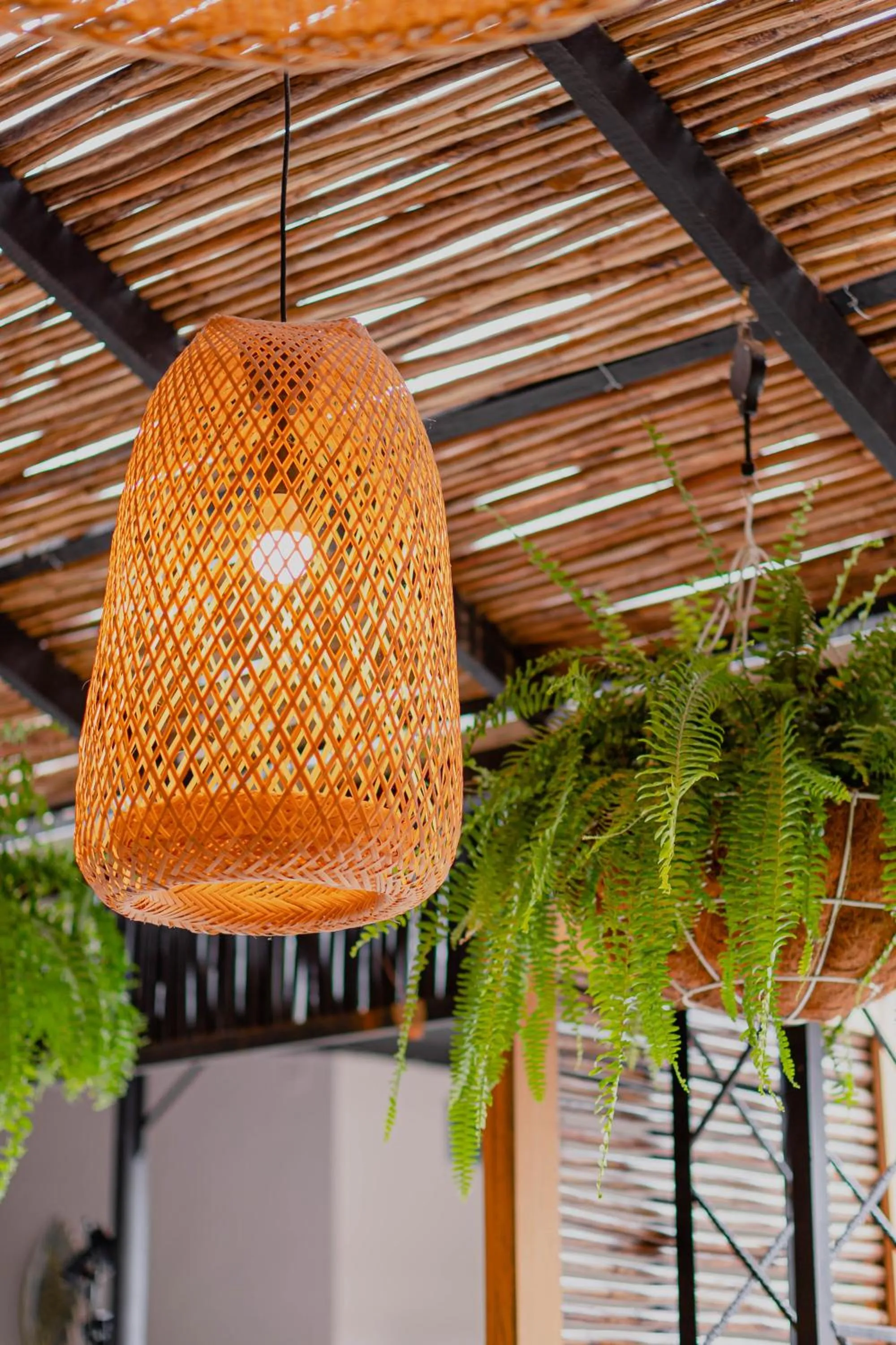 Restaurant/places to eat in Hotel Casa de Hadas