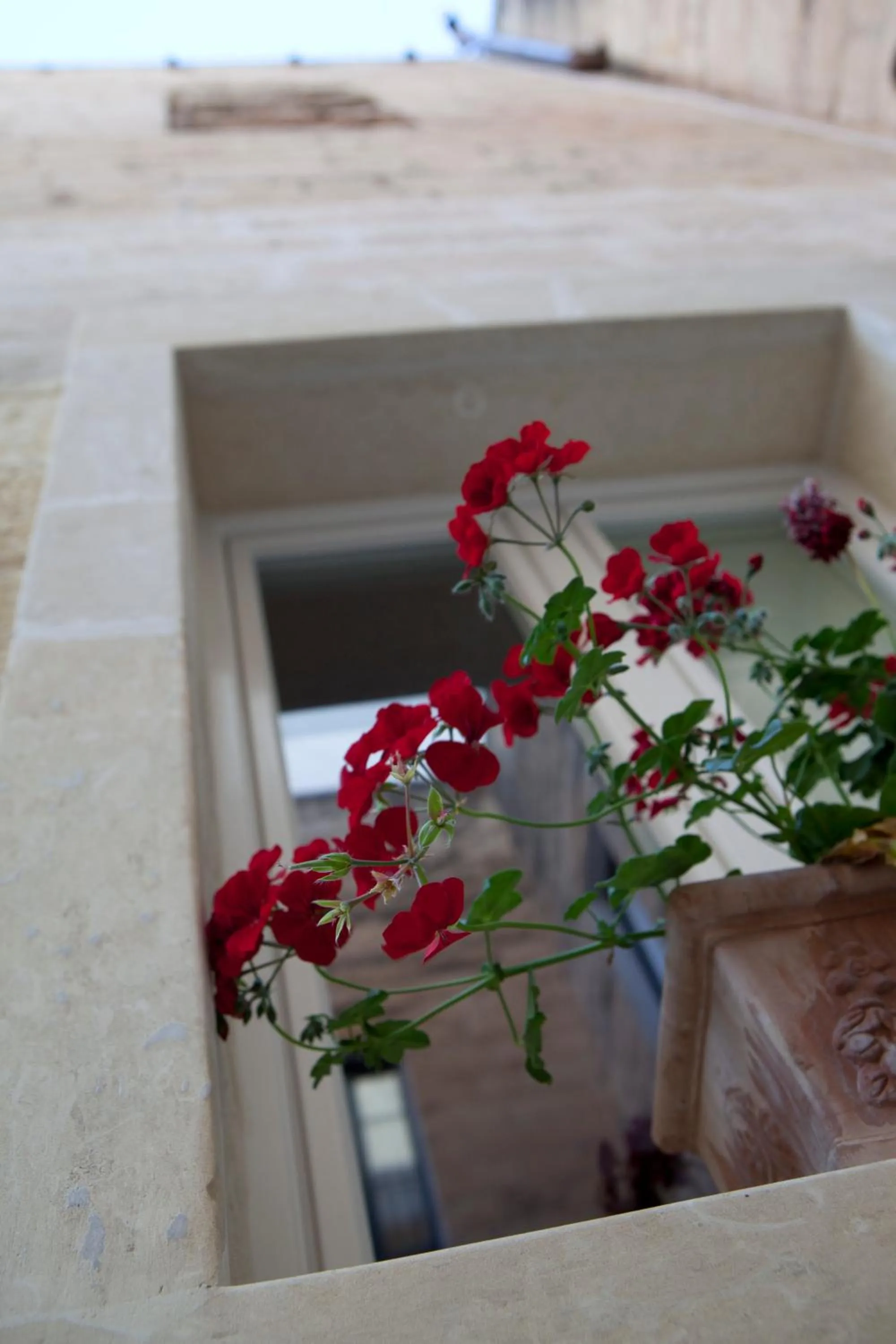 Balcony/Terrace in 19Venti