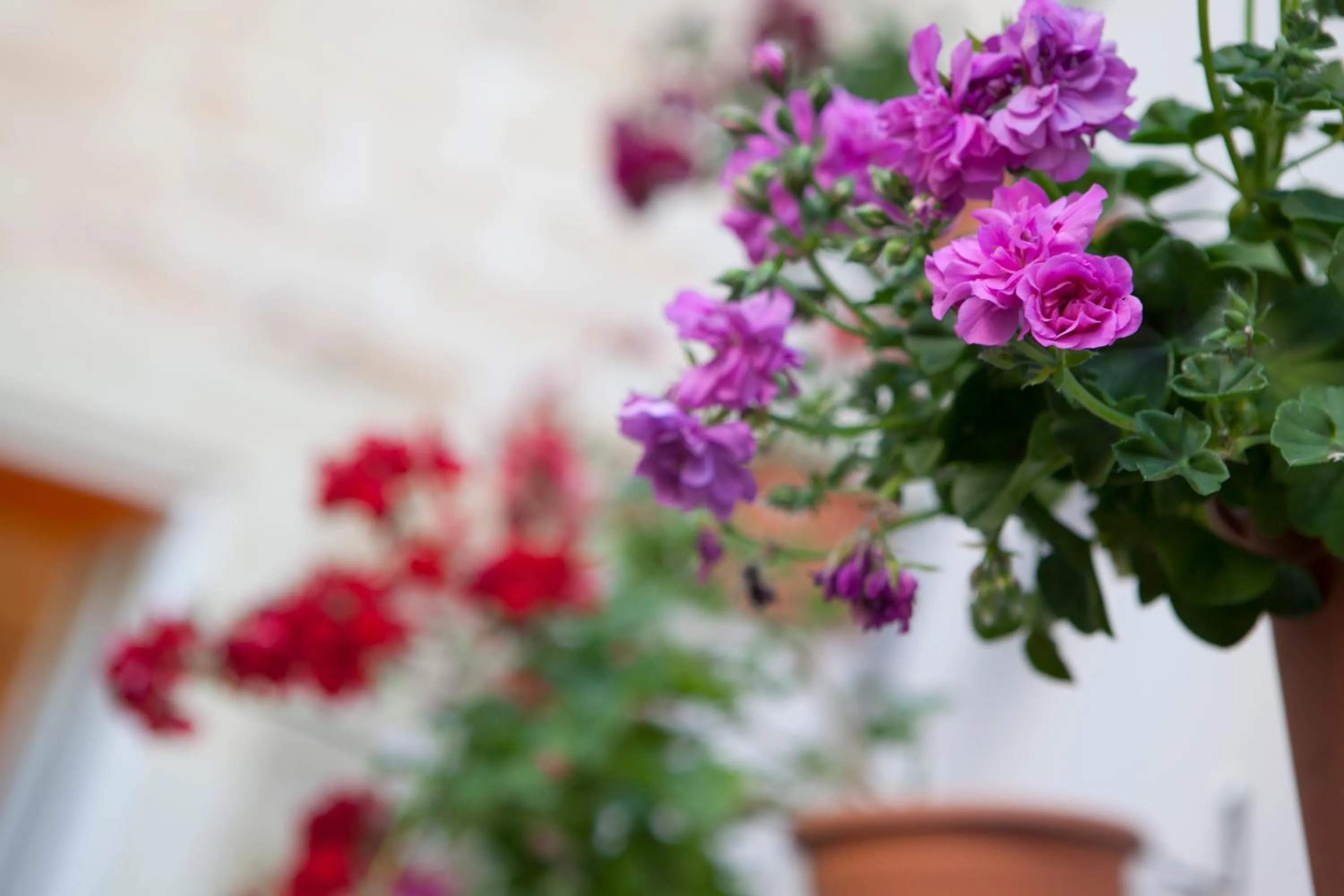 Balcony/Terrace in 19Venti