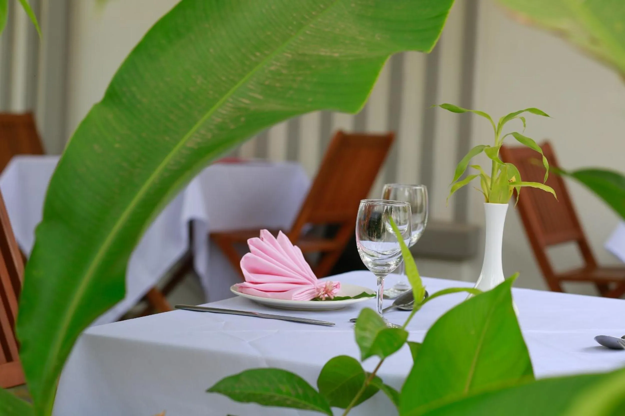 Restaurant/places to eat in Angkor Sweet Night Hotel