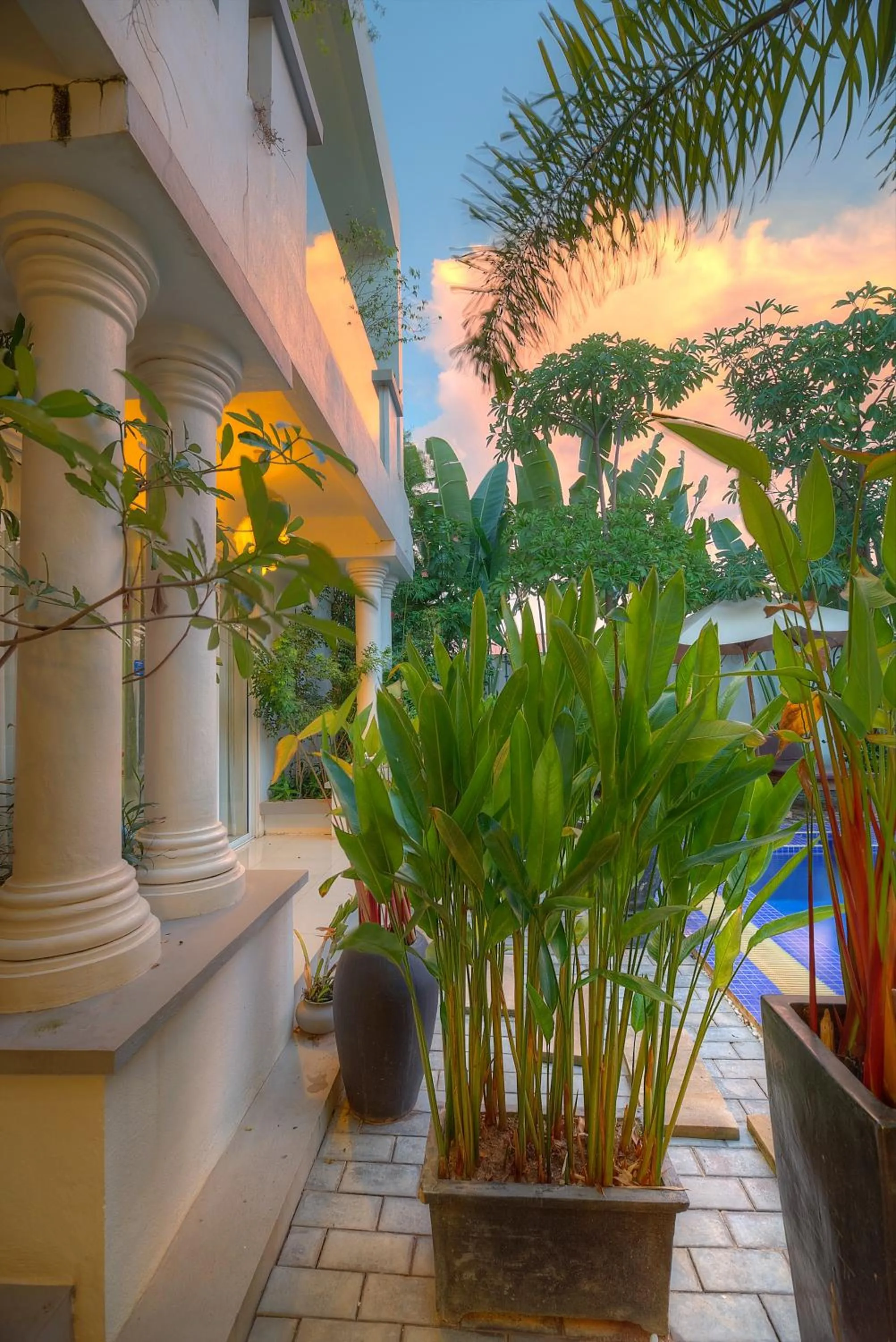 Garden in Angkor Sweet Night Hotel