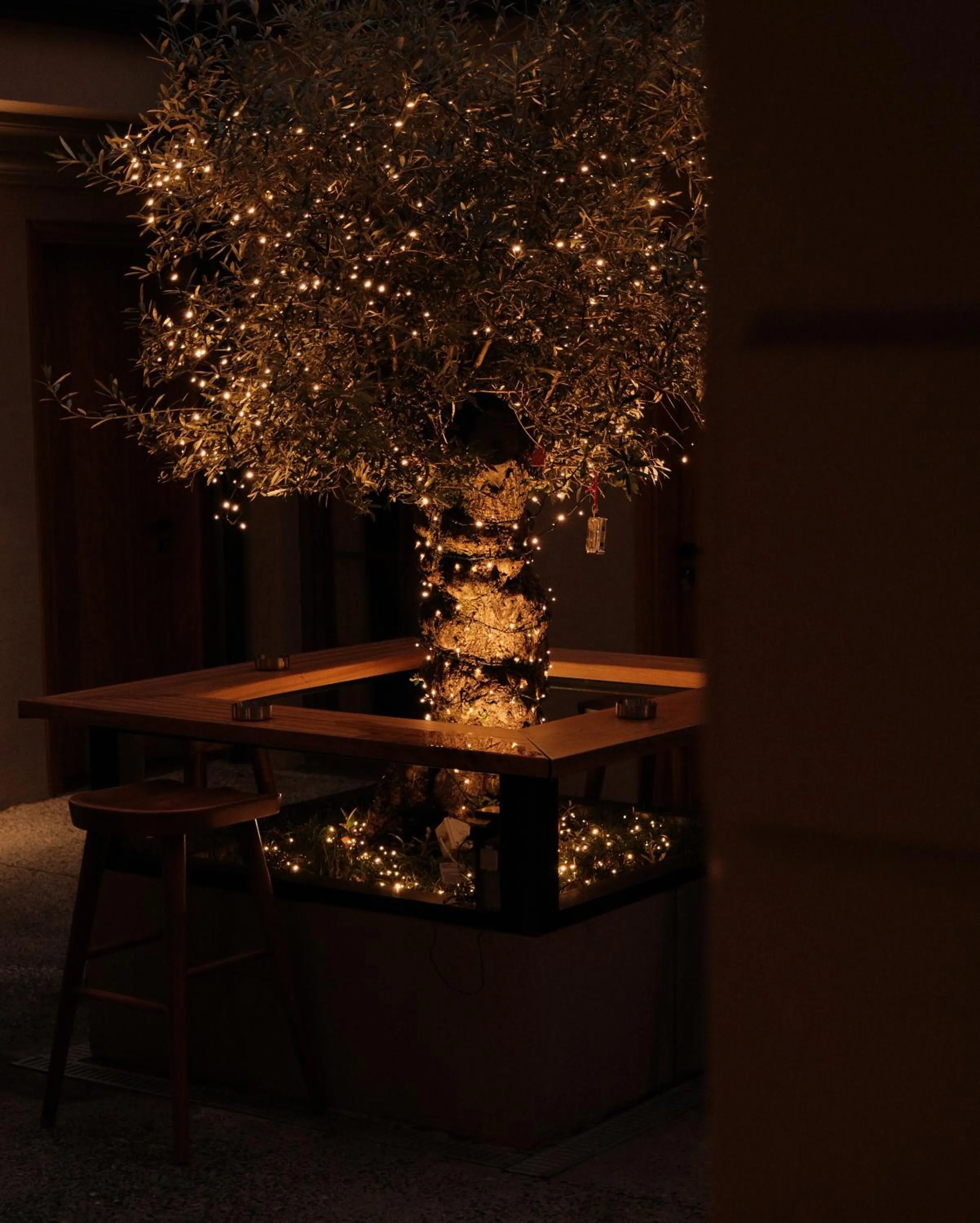 Garden in Faces & Places Boutique Hotel