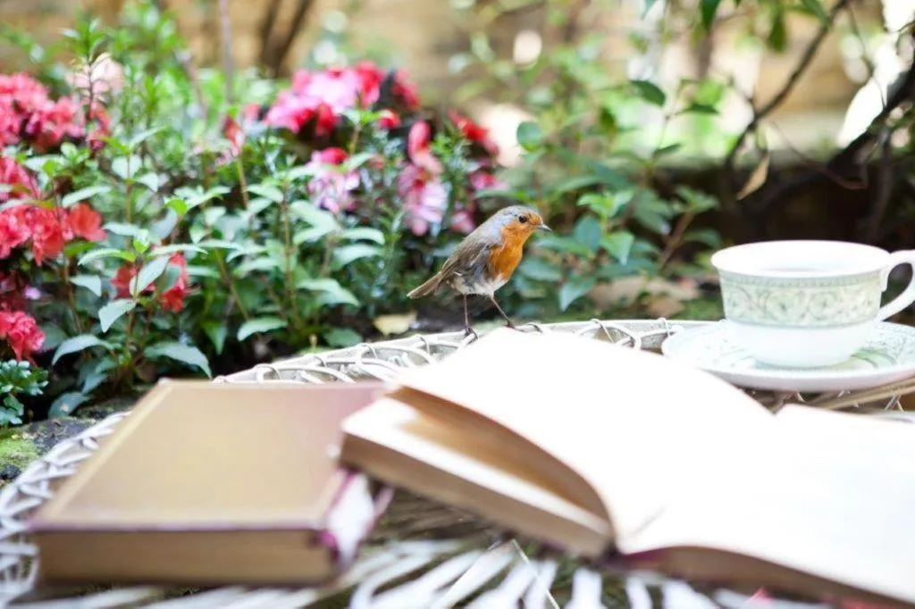 Garden in Vancouver Hotel and Studios
