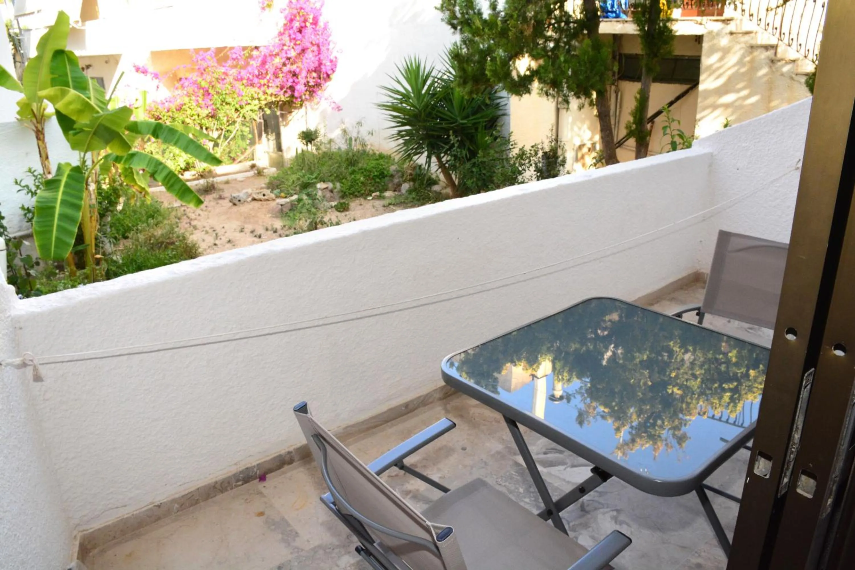 Golden Star Praxitelous