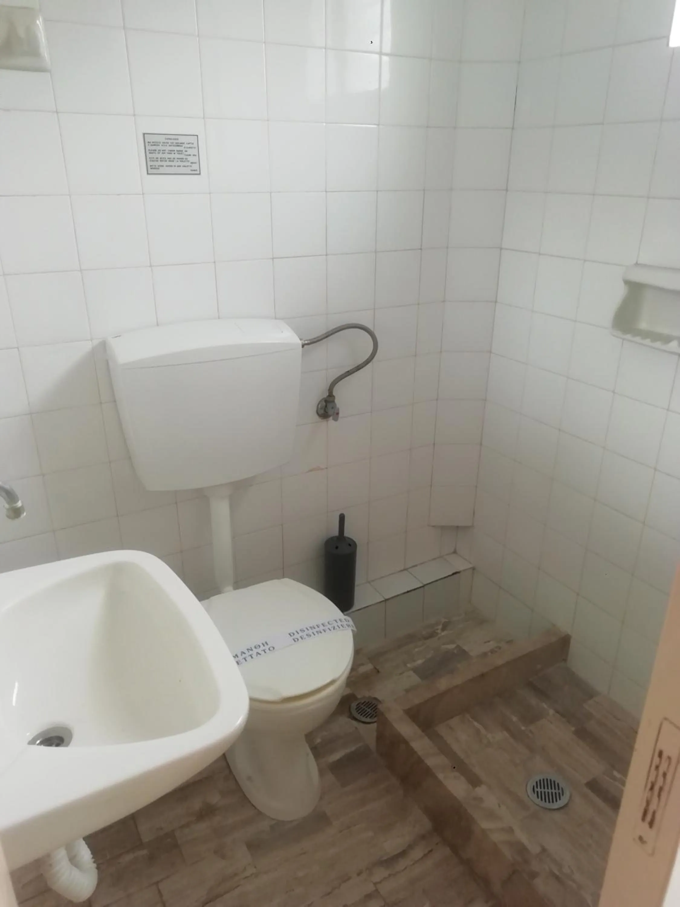 Golden Star Praxitelous