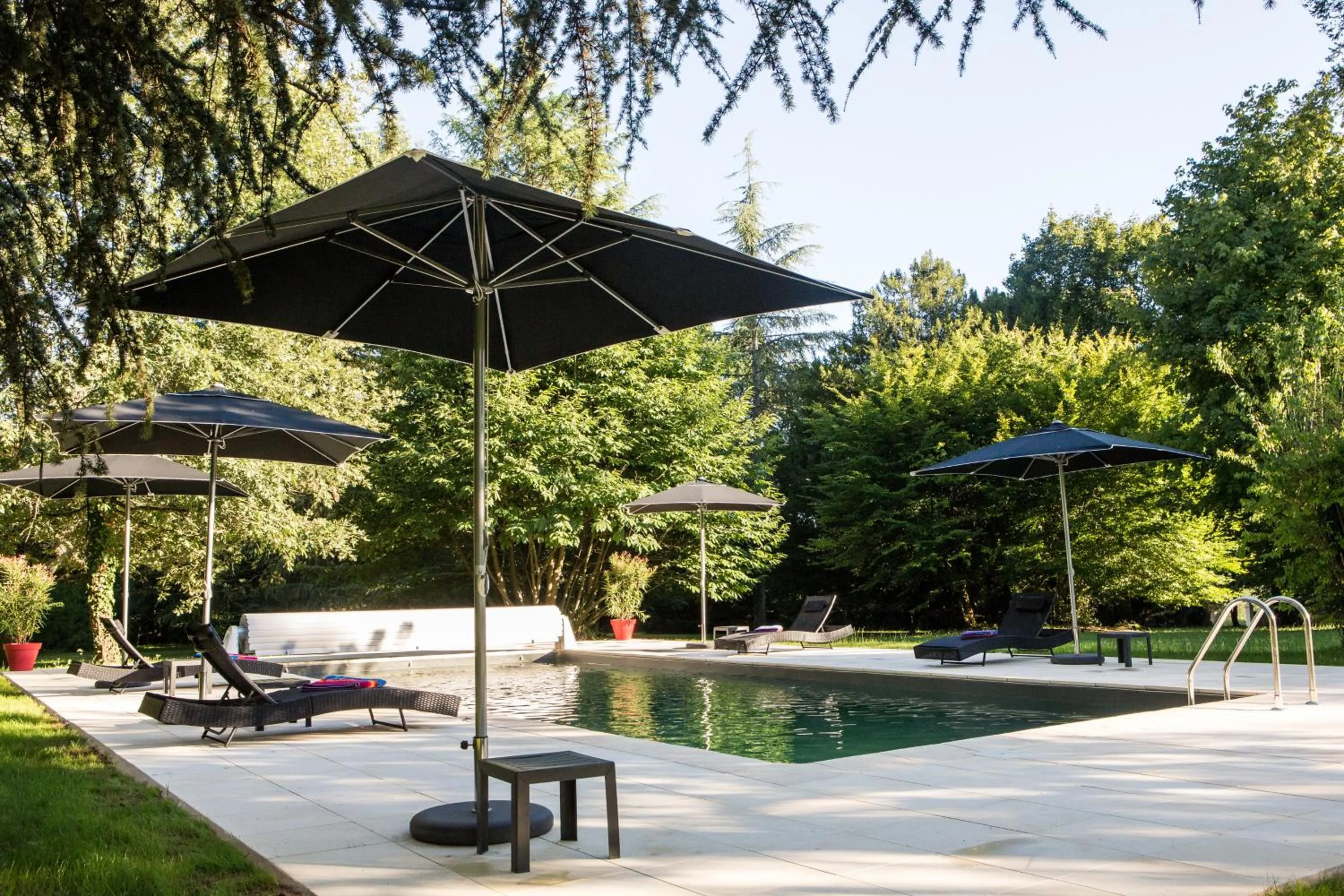 Swimming pool in Château de Maraval