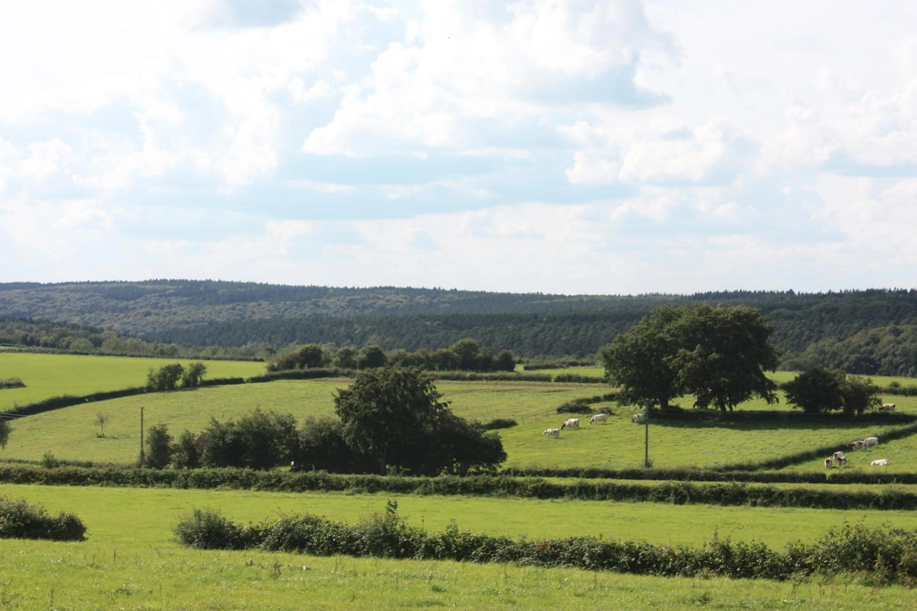 Day in B&B Au coin des sources