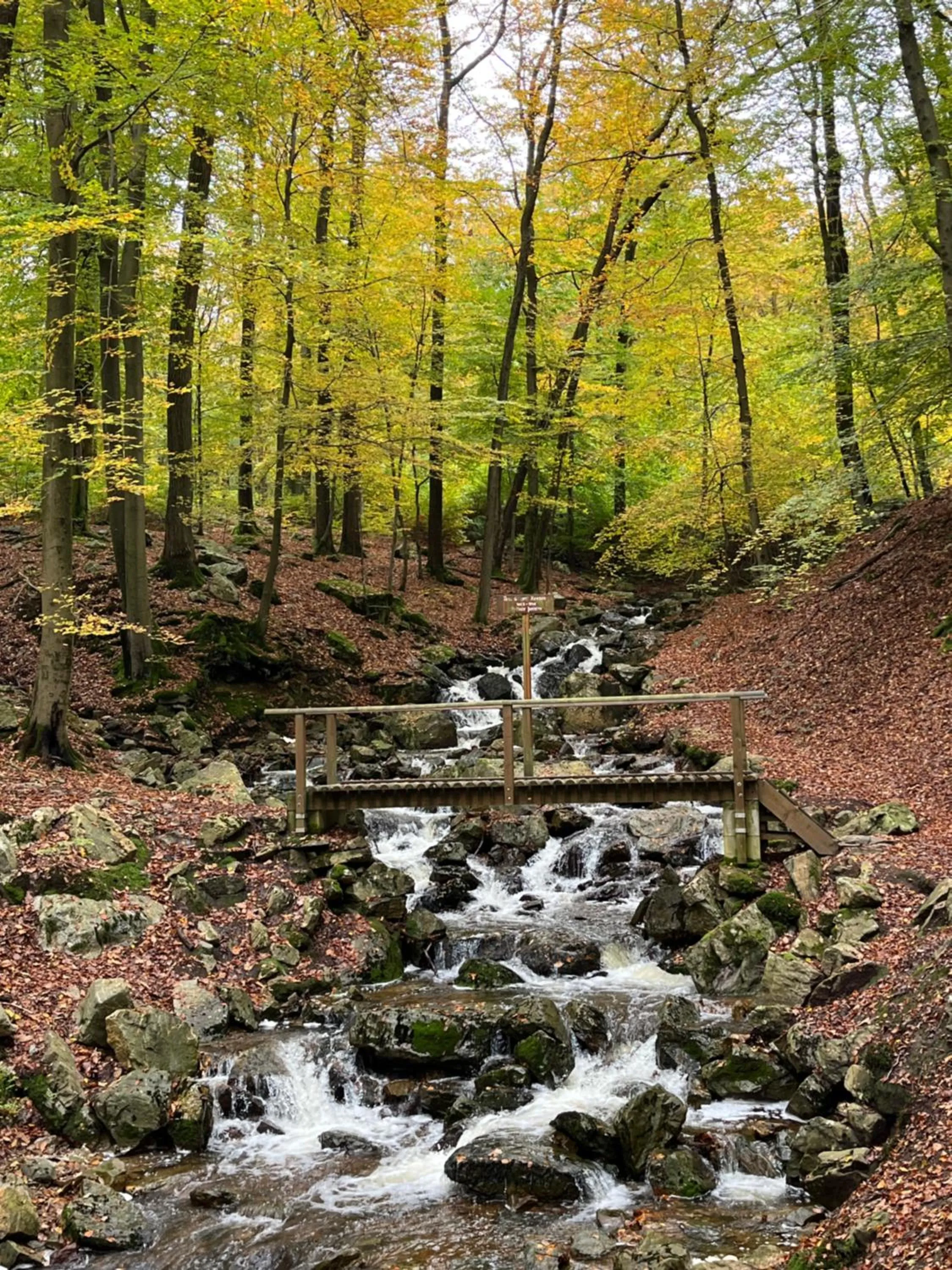 B&B Au coin des sources