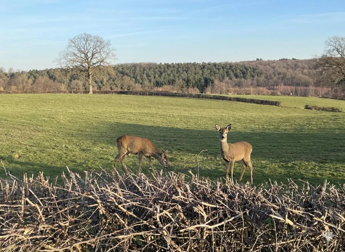 B&B Au coin des sources