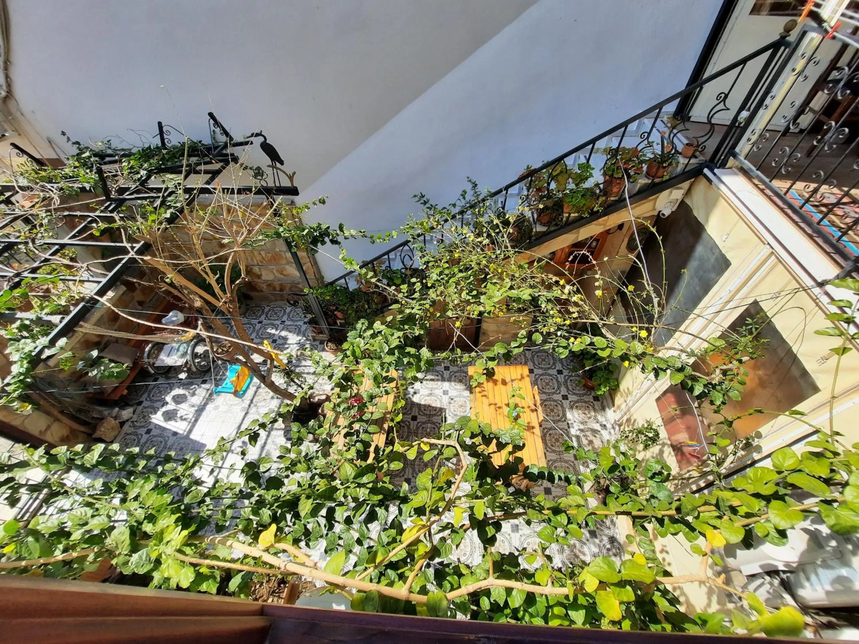 Garden in Ali Baba's House