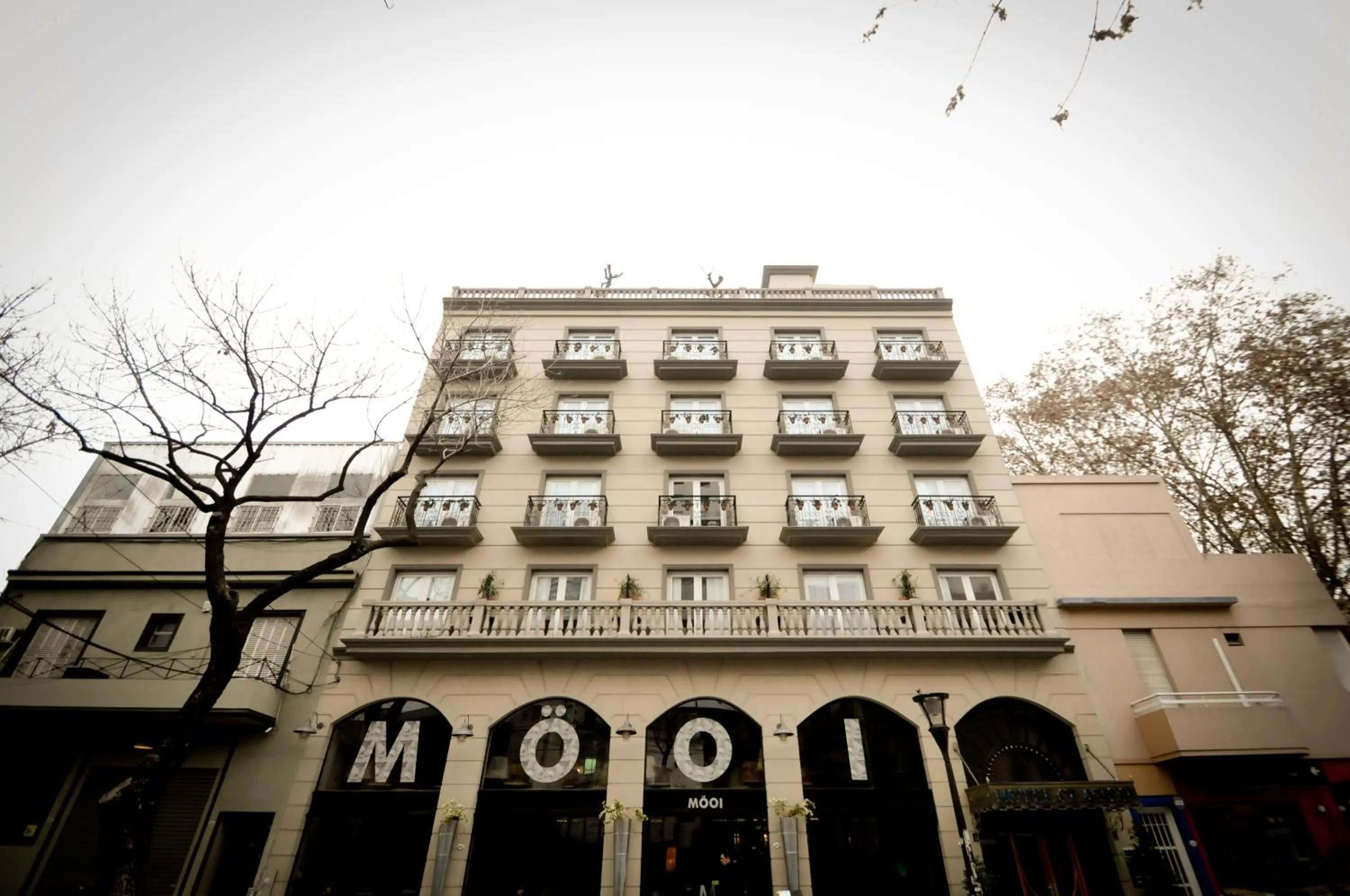 Restaurant/places to eat in Hotel Clasico