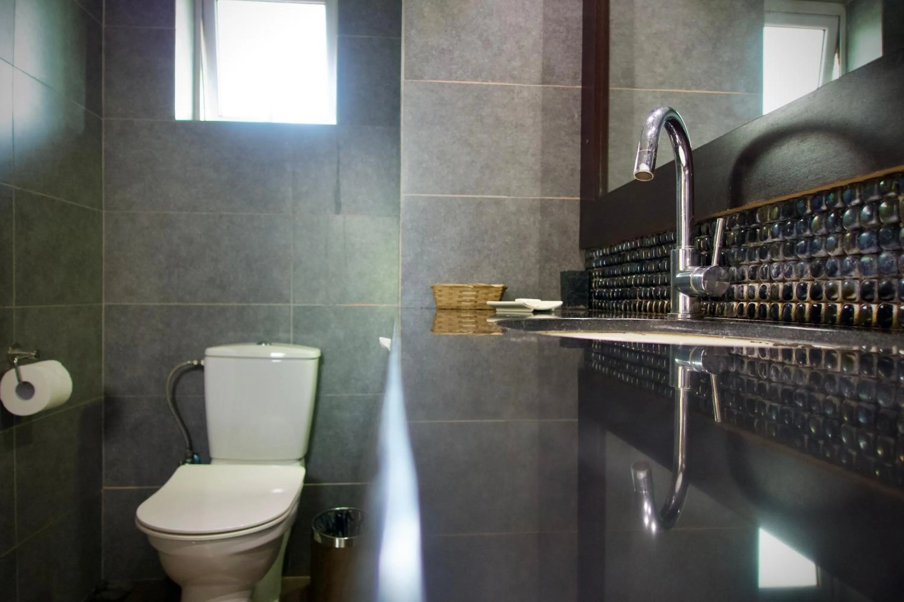 Toilet in Dodola Lodge