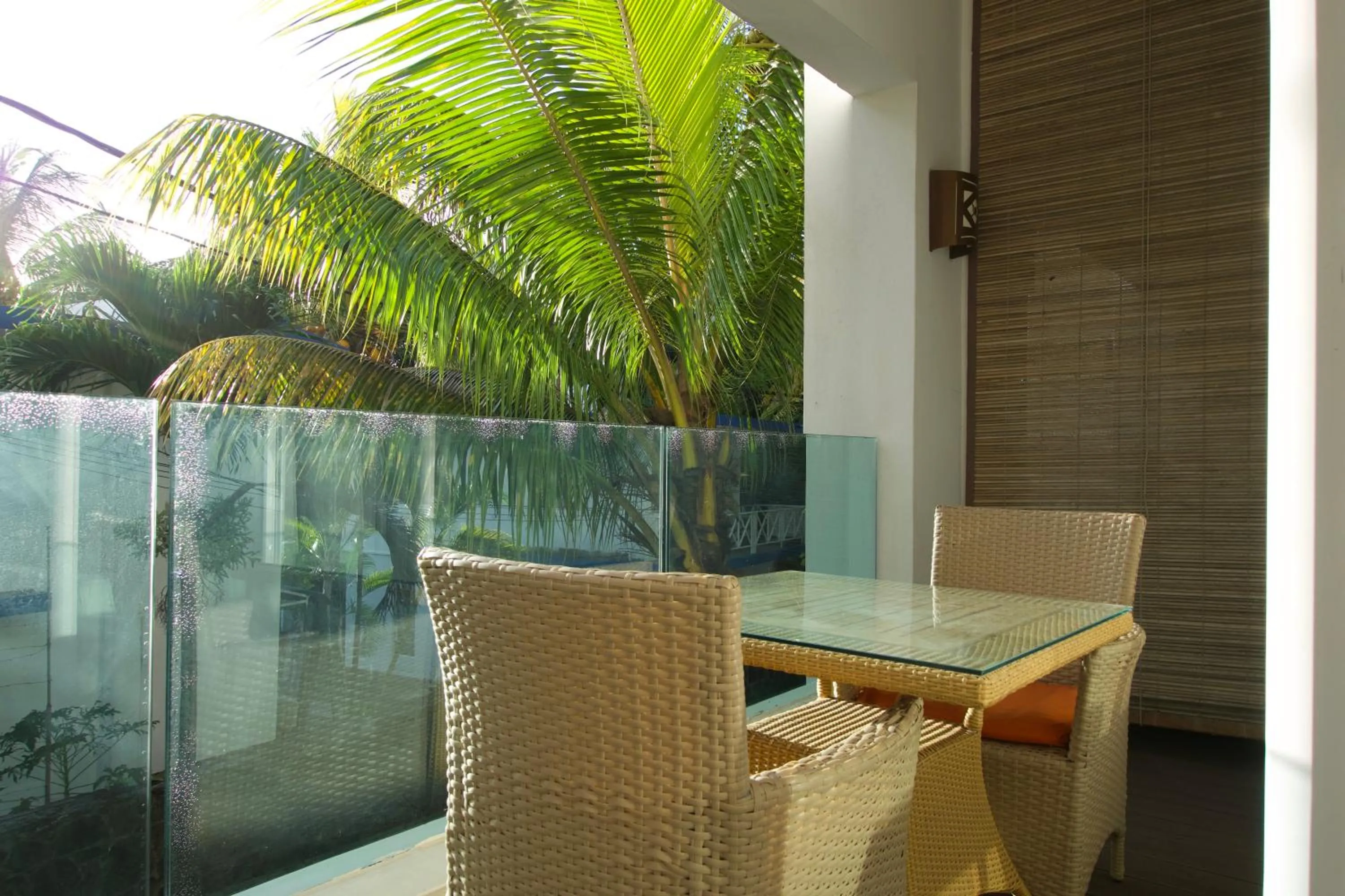 View (from property/room) in Dodola Lodge