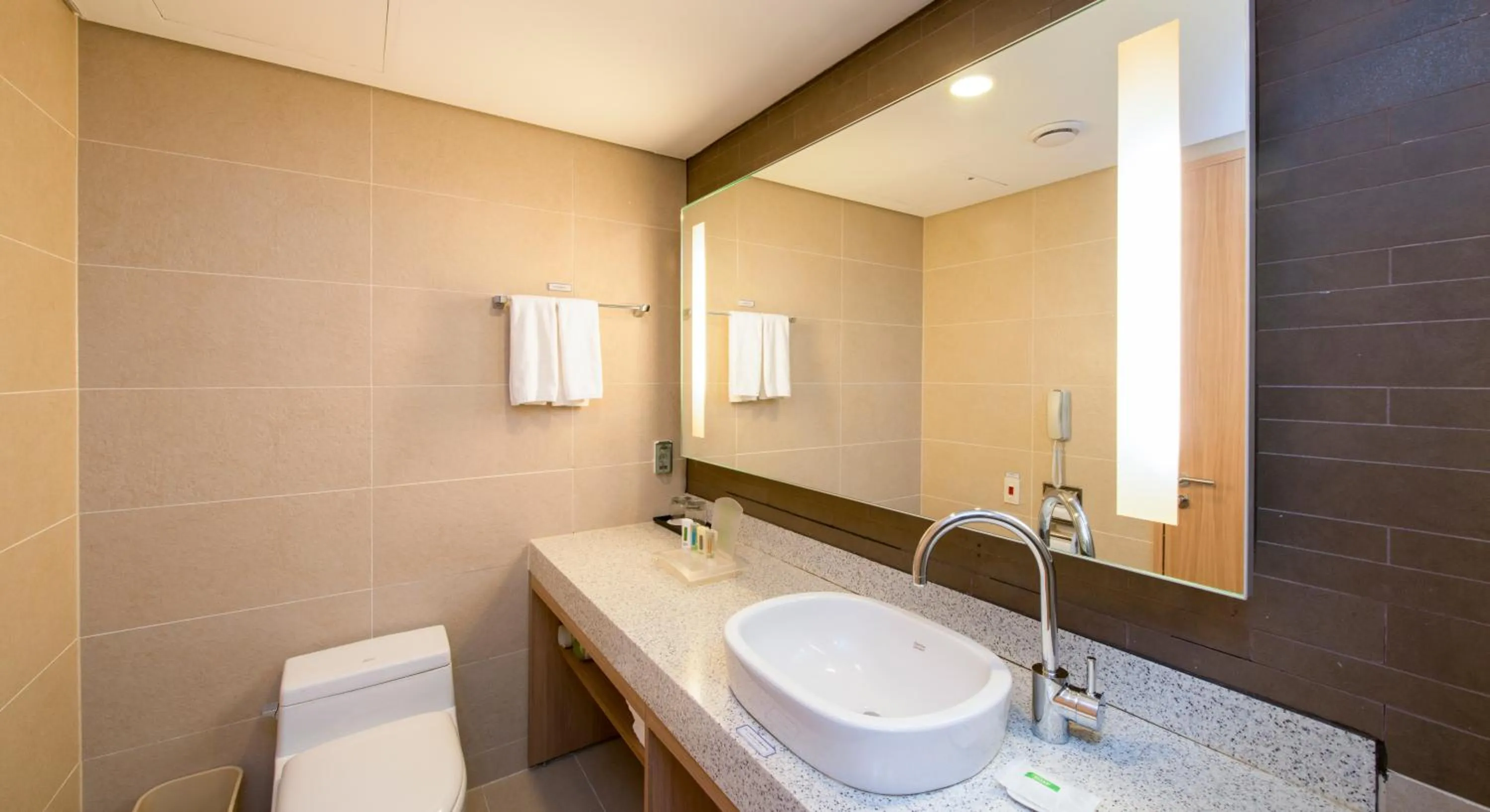 Bathroom in Holiday Inn Resort Alpensia Pyeongchang by IHG
