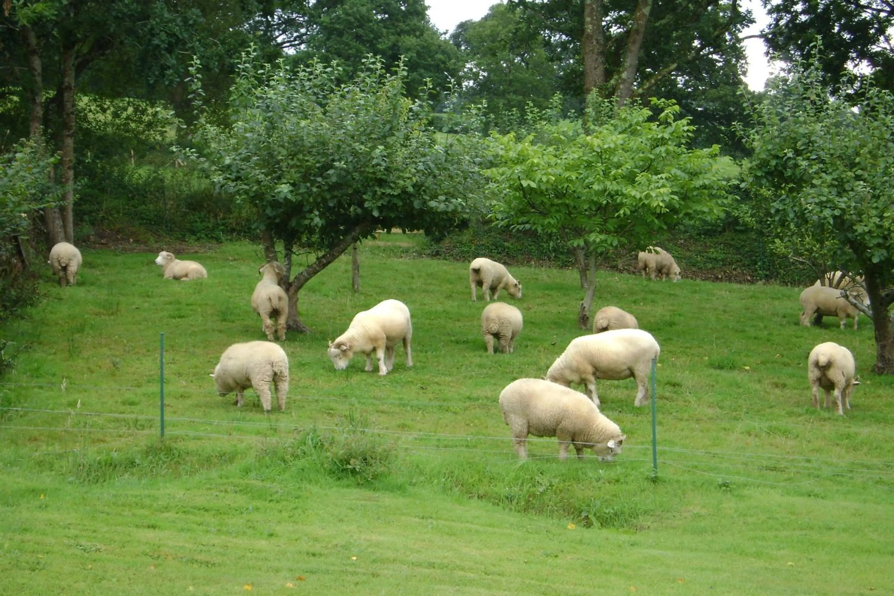 Natural landscape in Meadowland Farm
