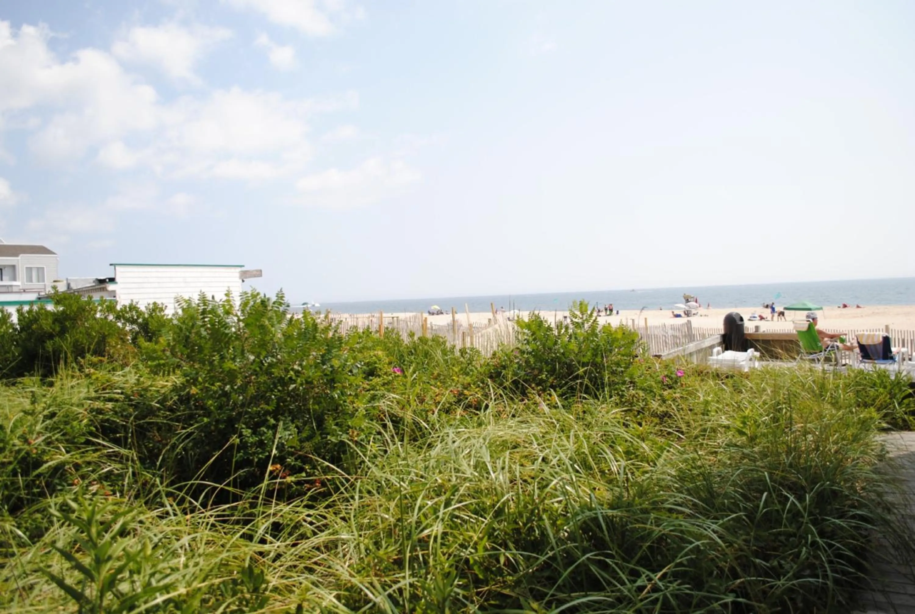 Natural landscape in Windswept Motel