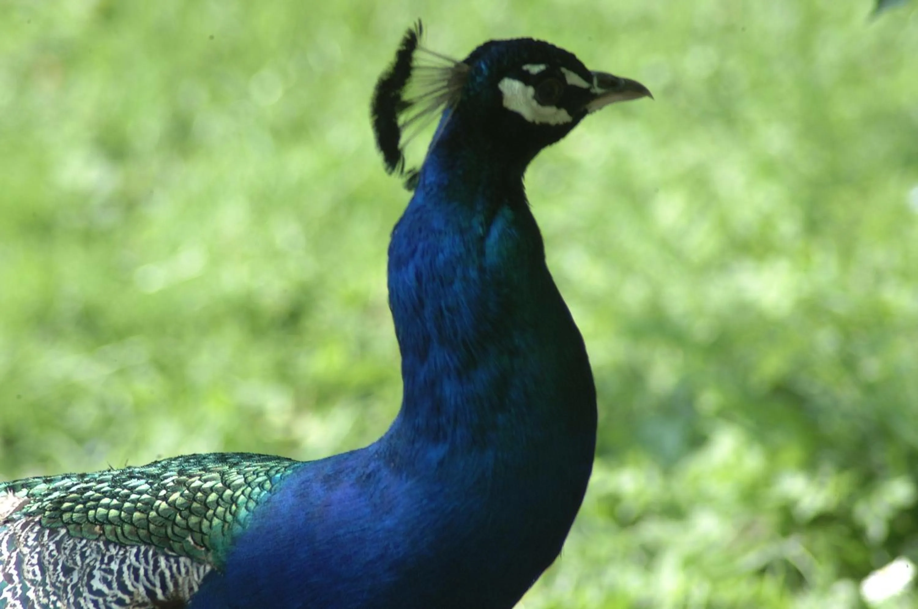 Other in Fletcher Landgoedhotel Renesse