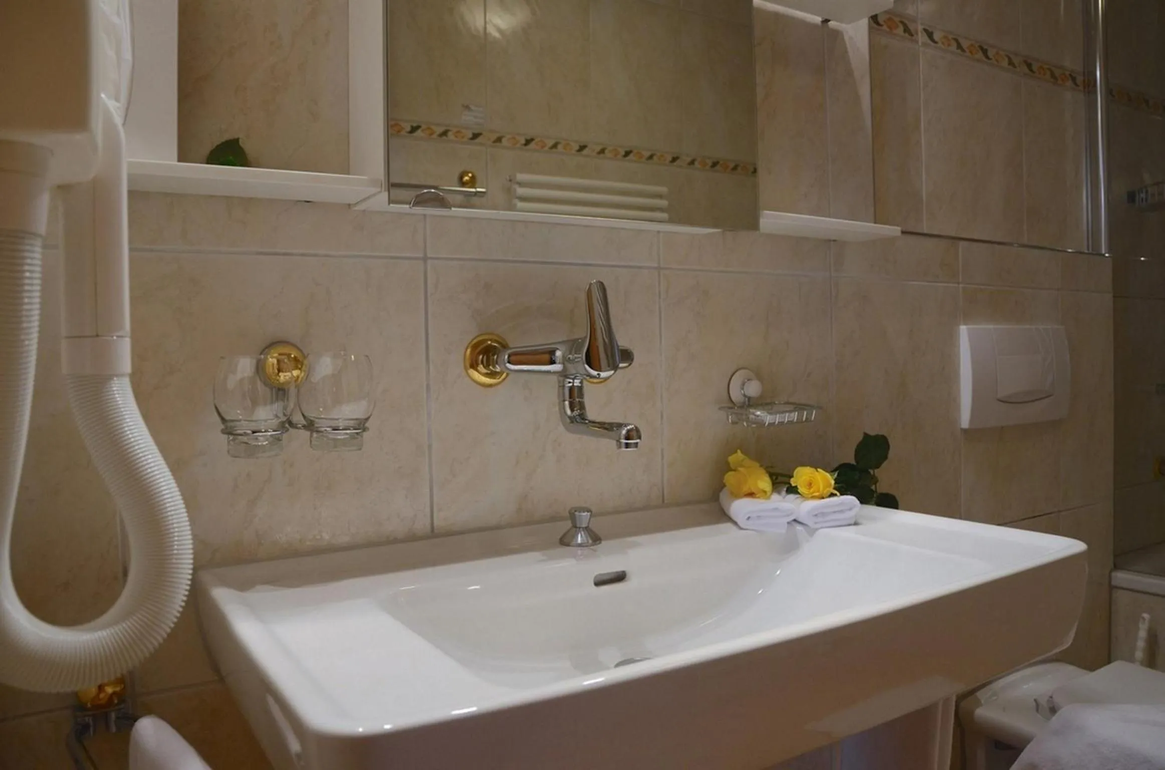 Toilet in Hotel Eigerblick