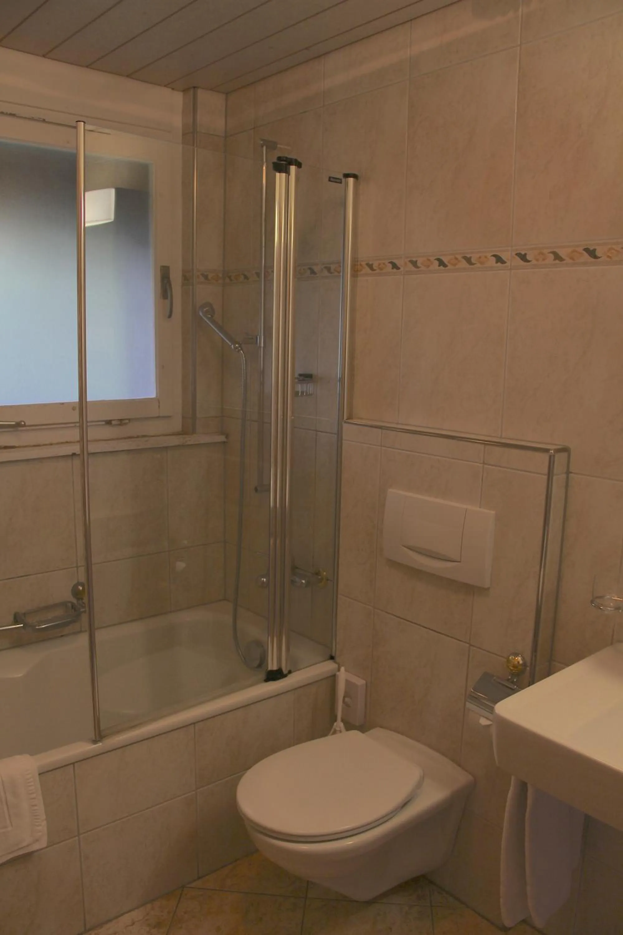 Bathroom in Hotel Eigerblick