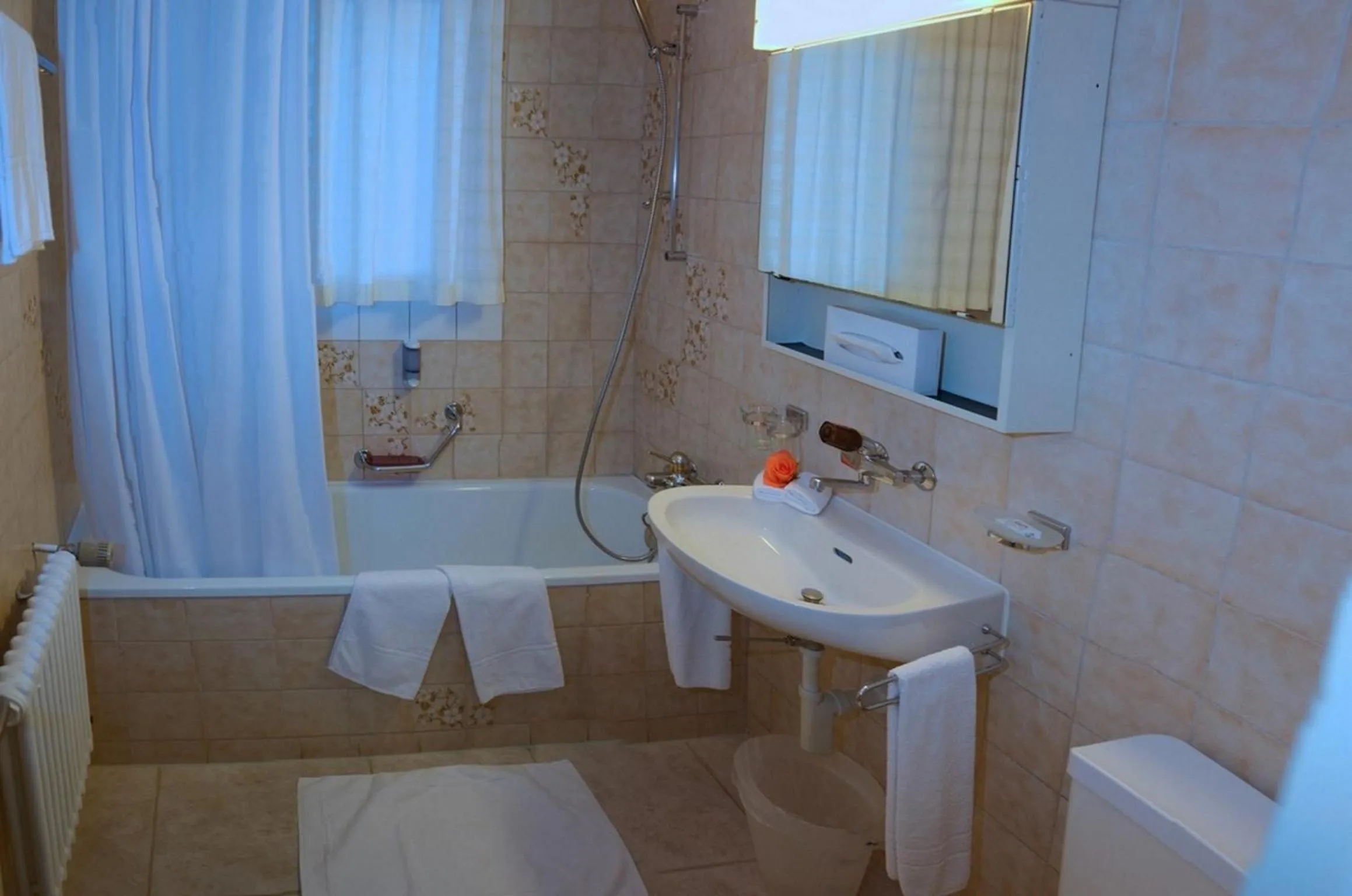 Toilet in Hotel Eigerblick