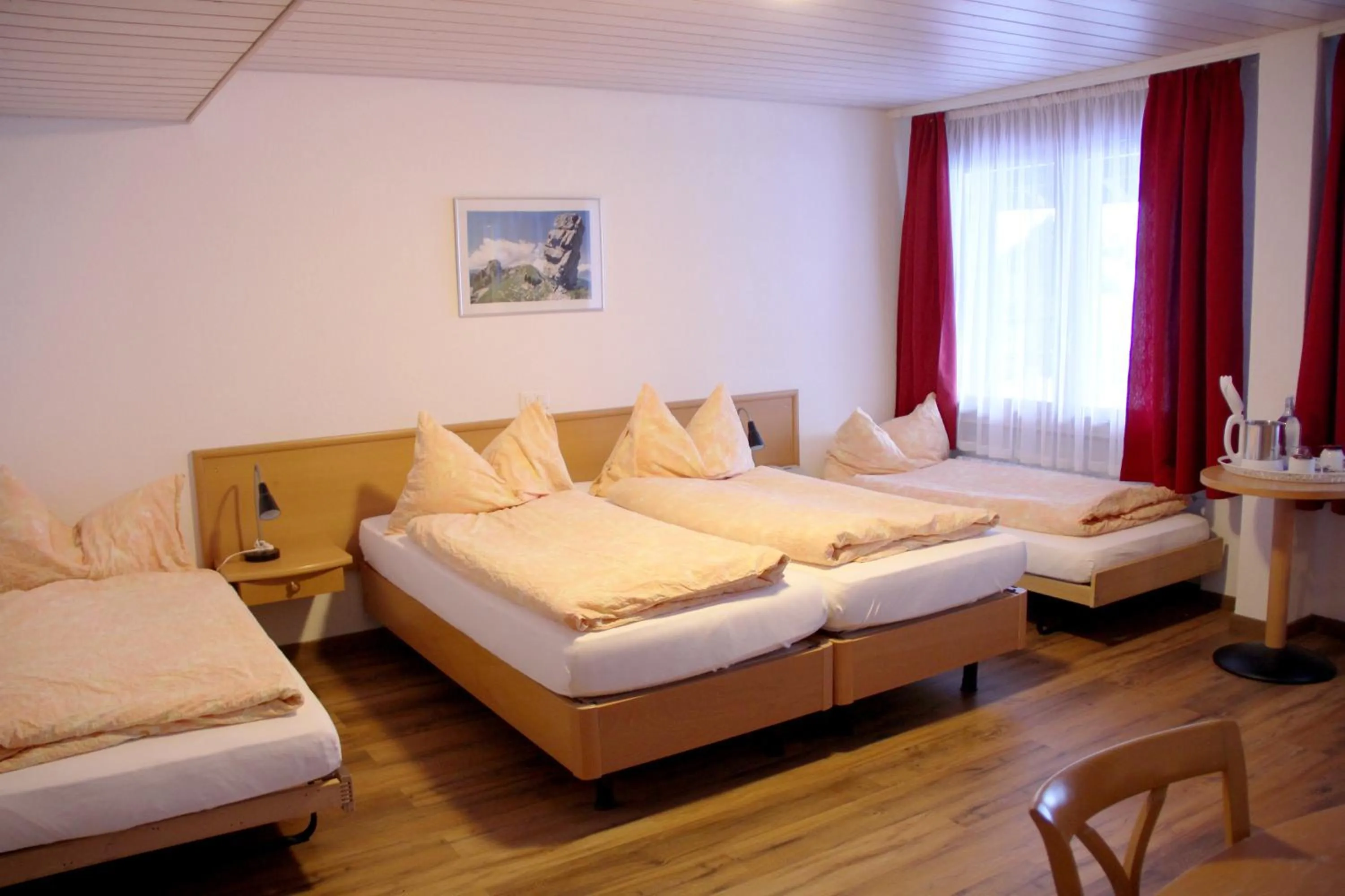 Photo of the whole room, Bed in Hotel Eigerblick