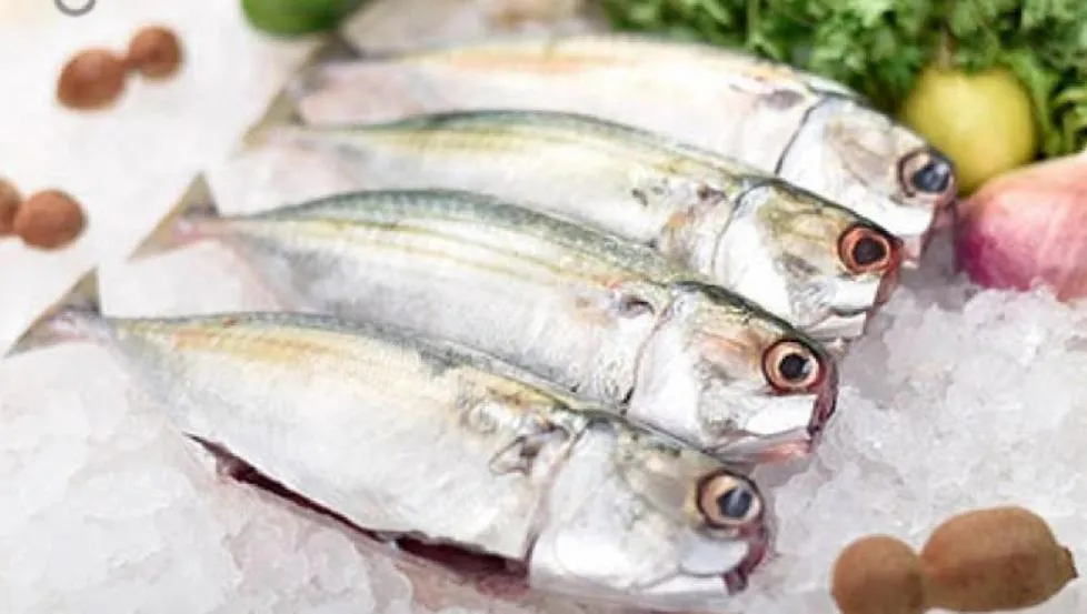 Dubai Hotel & Restaurant Kumarakom