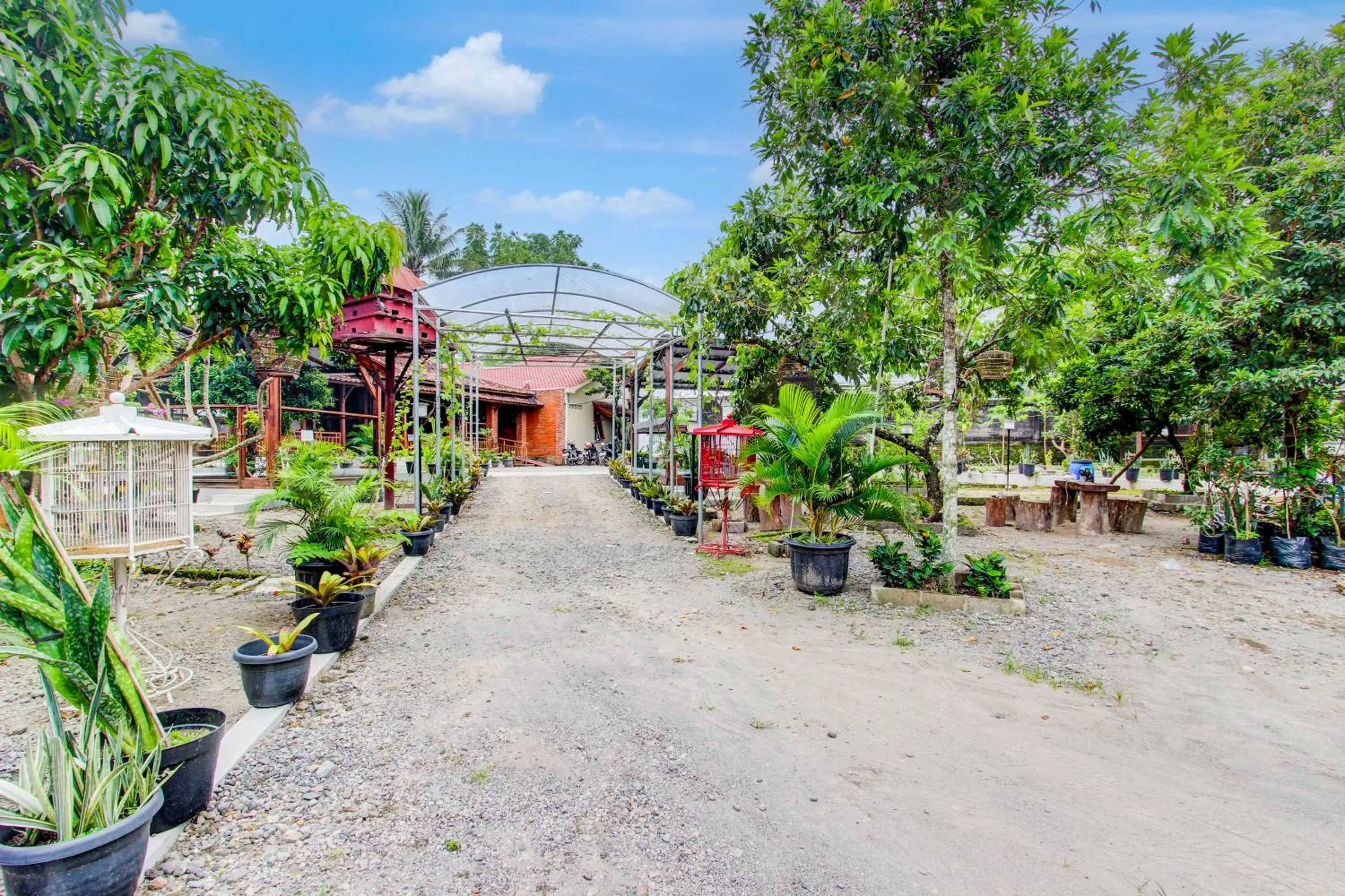 Garden in Capital O 93873 Sokkyo Homestay